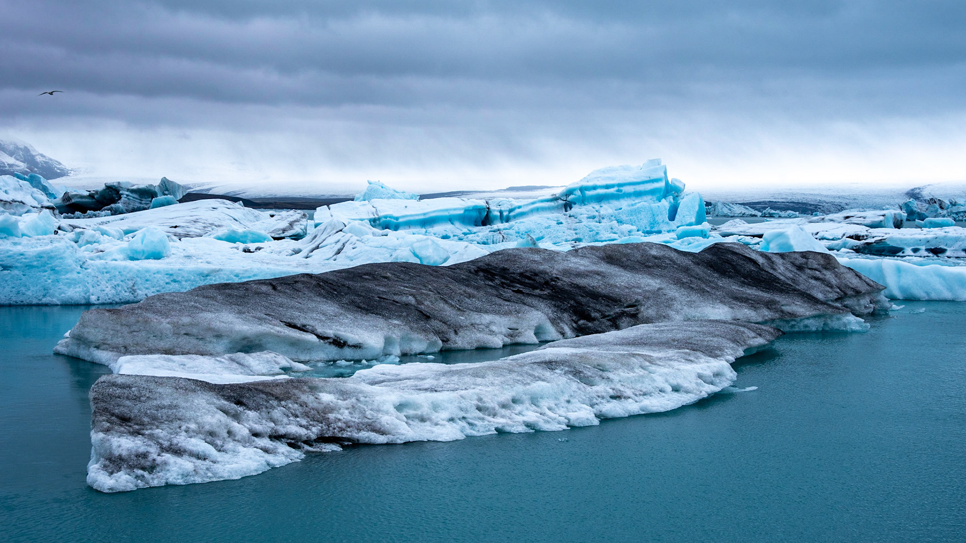 Lagune glaciaire de Jökulsárlón / Parc national du Vatnajökull