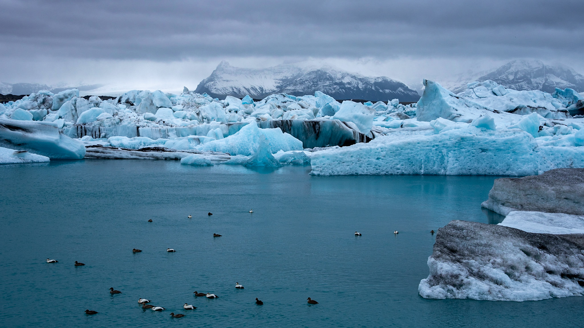 Lagune glaciaire de Jökulsárlón / Parc national du Vatnajökull