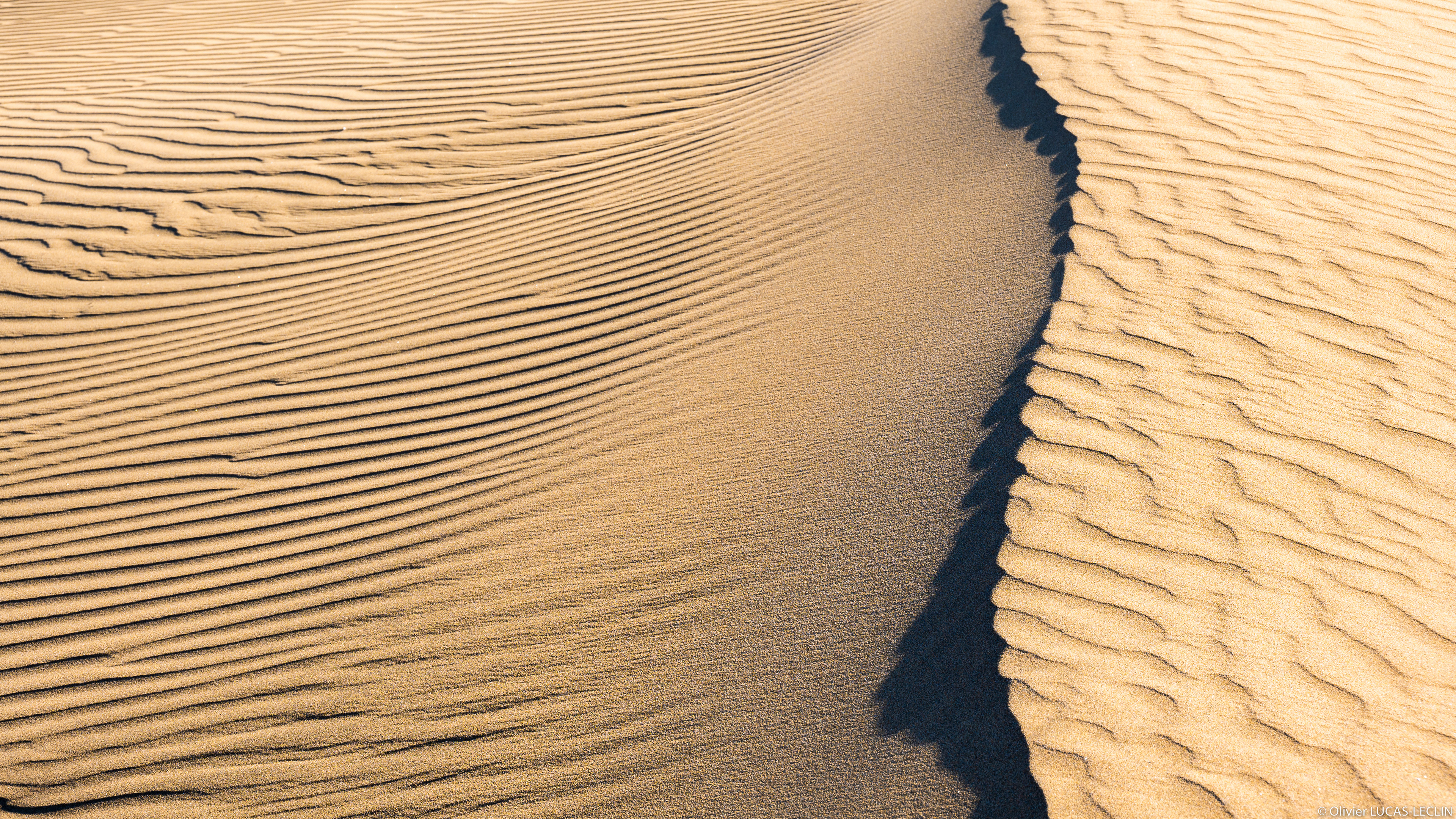 Gran Canaria Sud / Dunas de Maspalomas