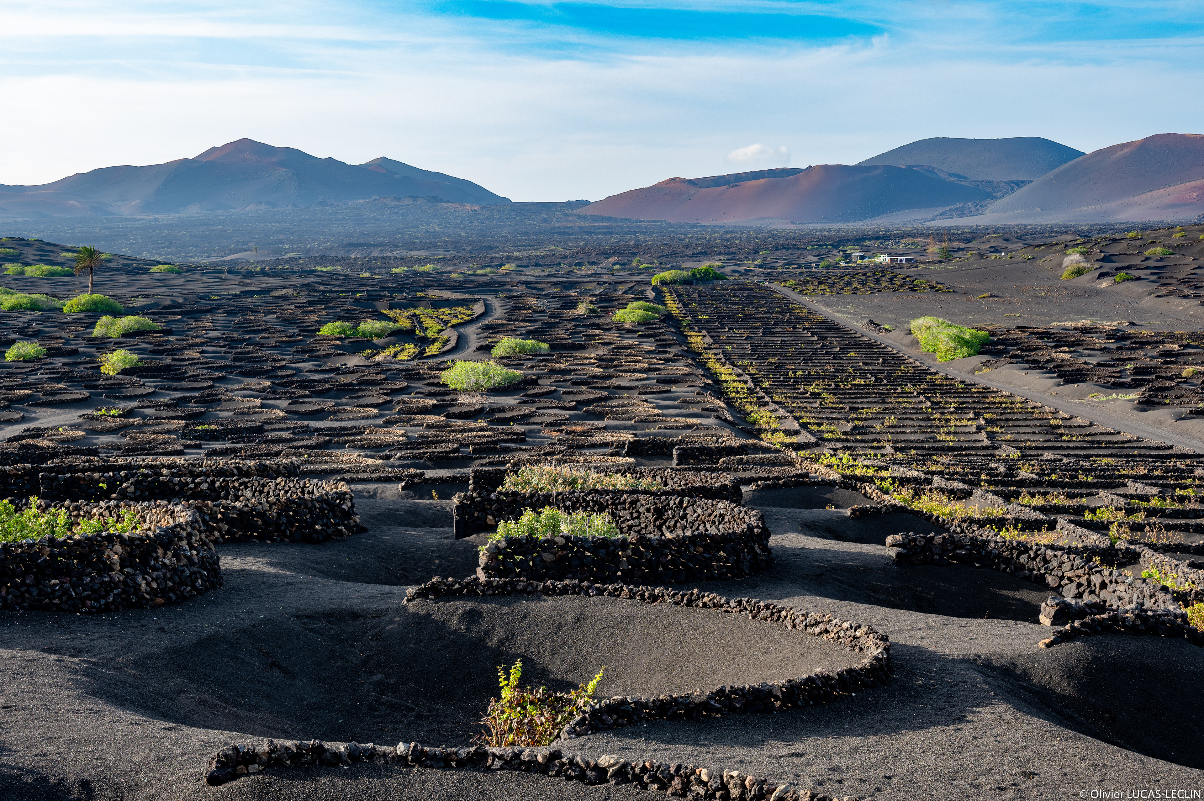 Lanzarote / Vignes Bodega La Geria