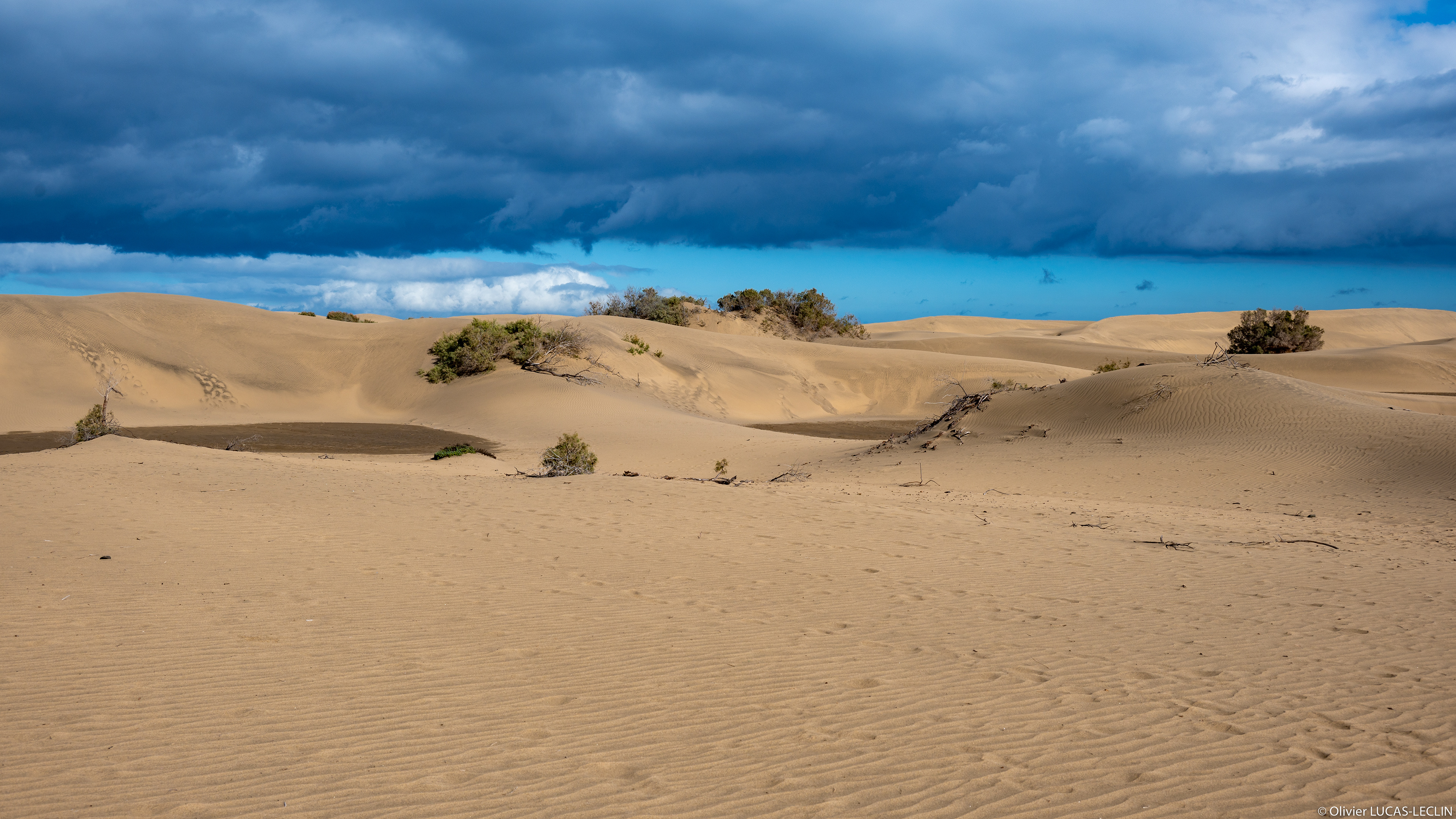 Gran Canaria Sud / Dunas de Maspalomas
