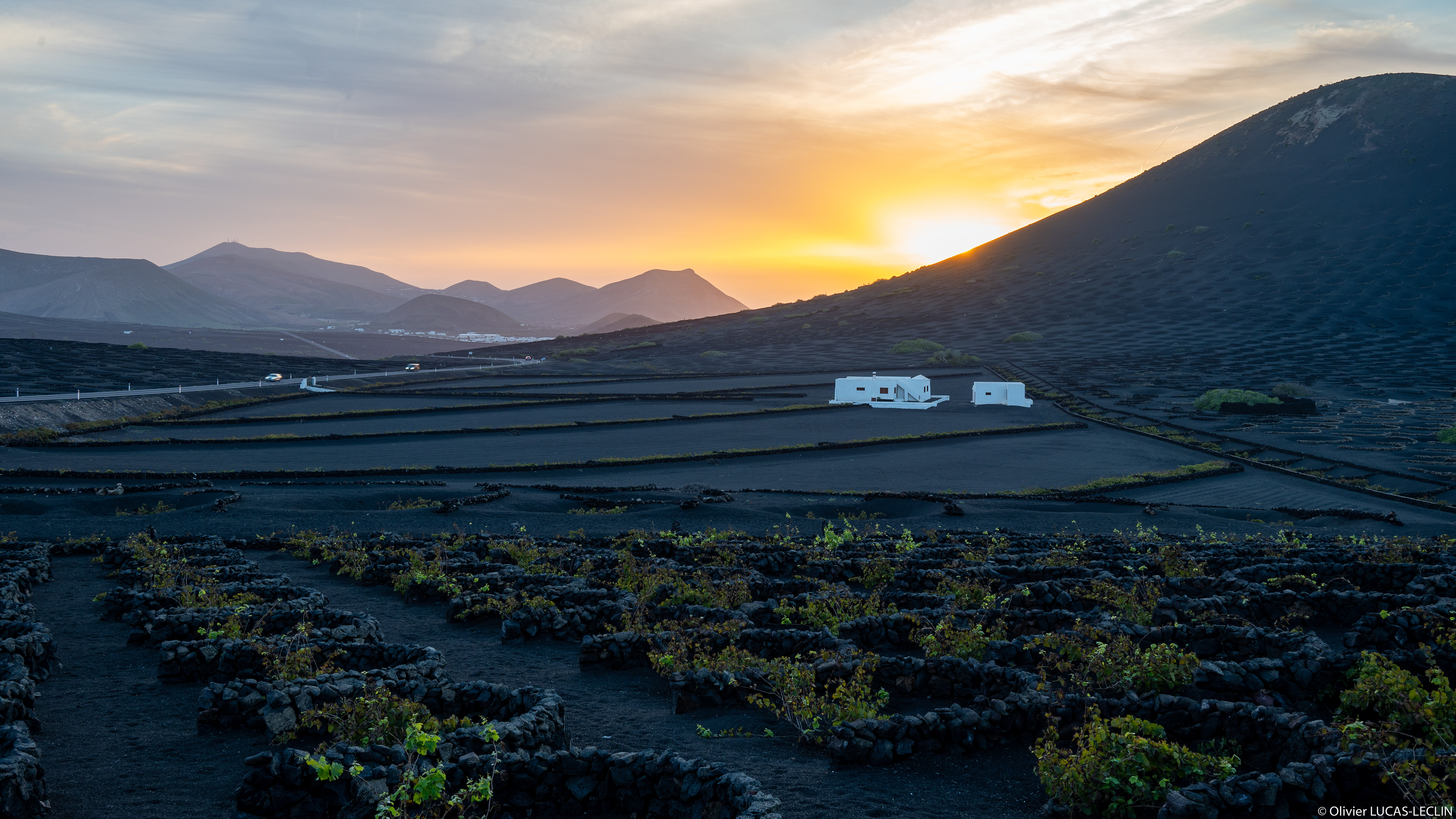 Lanzarote / Vignes Bodega La Geria