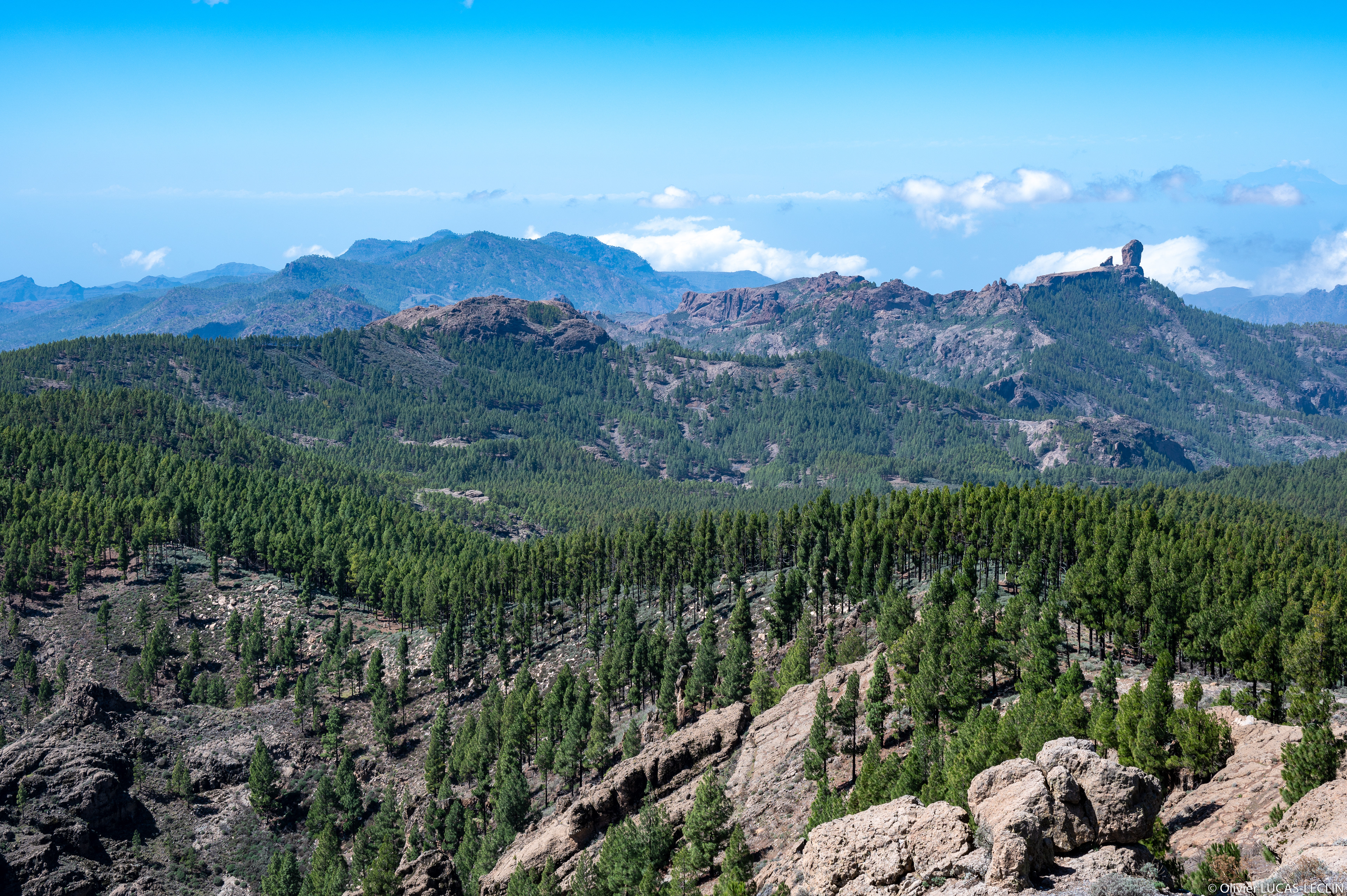 Gran Canaria / Pico de las Nieves