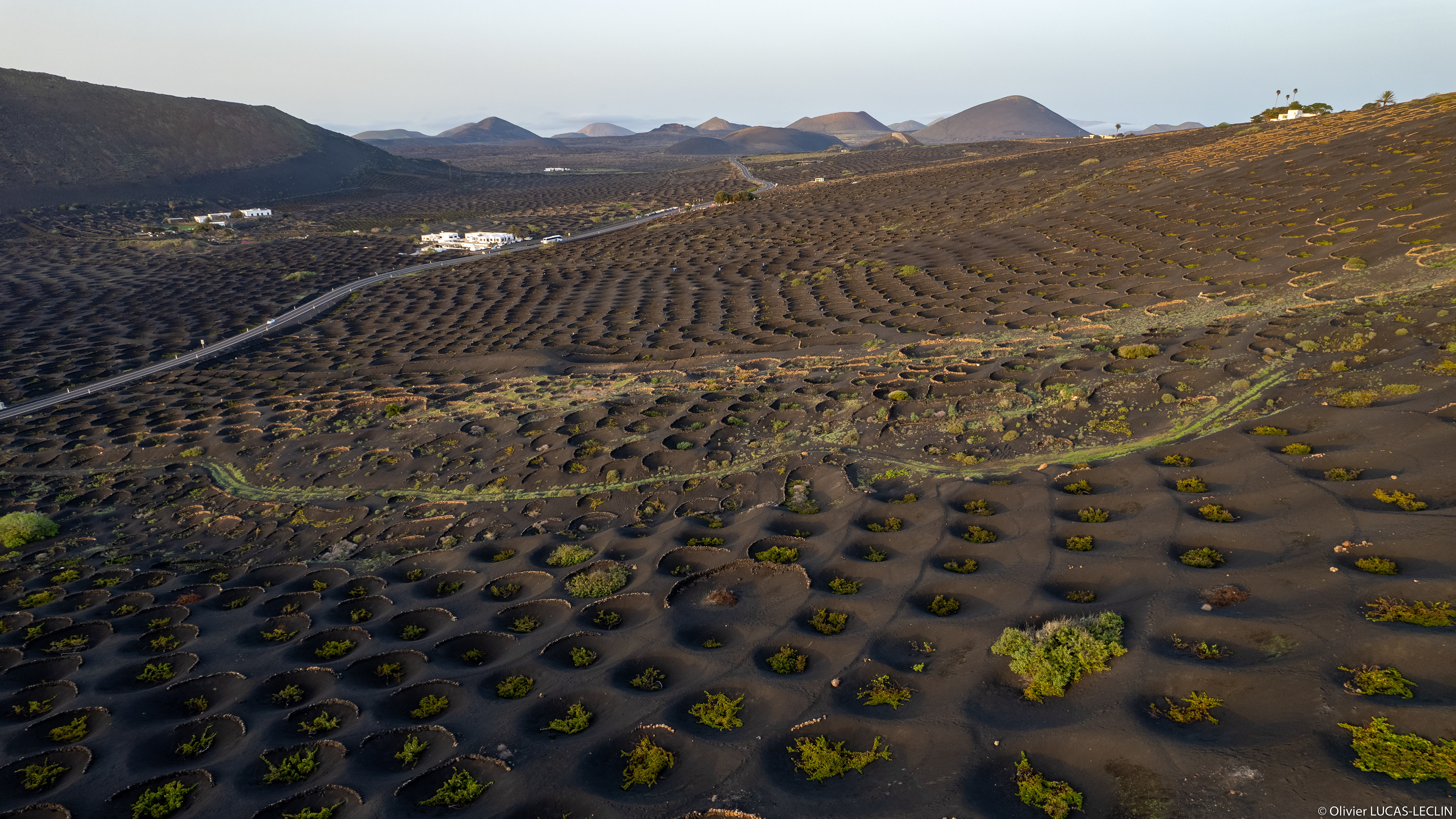 Lanzarote / Vignes El Chupadero de La Geria