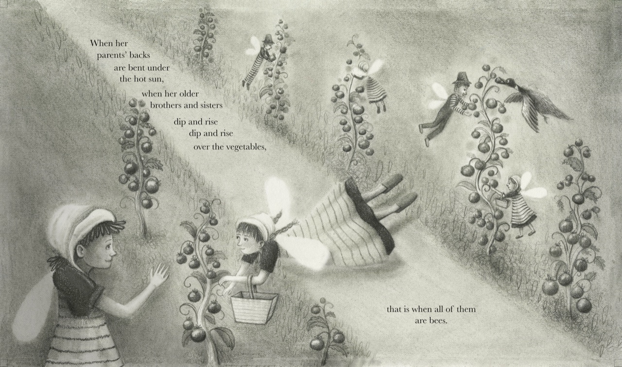 6th page rough