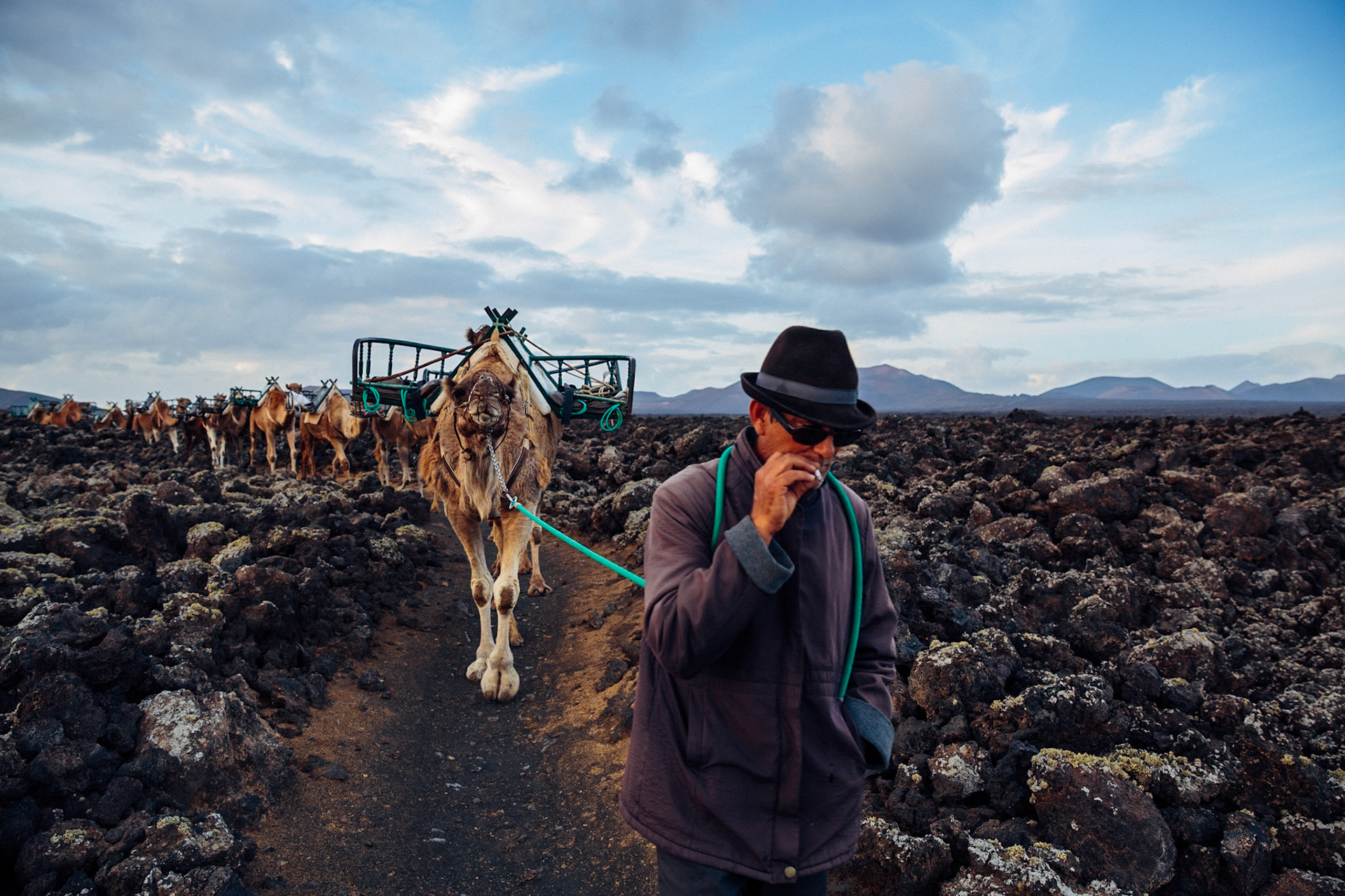 Camel Driver, La Geria, Lanzarote, Canary Islands, Spain.