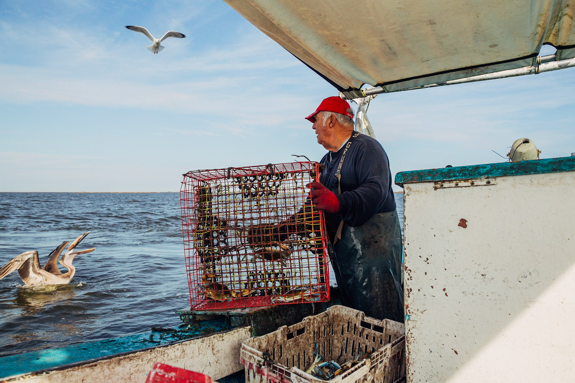 Jesse Alfonso, Delacroix Island, LA, 2014. CISLANDERUS is the cultural project about the Descendants of Canary Islanders in the US. www.cislanderus.com | Researcher: Thenesoya V. Martín |  Photographer: Aníbal Martel.