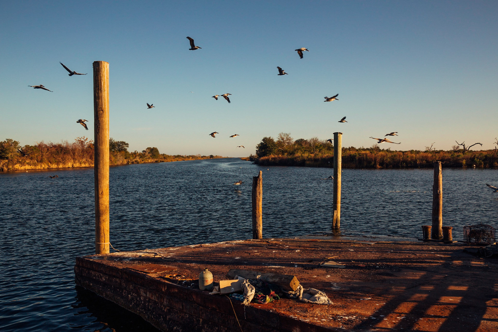 Pier and Pelicans, Hopedale, Sait Bernard Parish, USA, Louisiana, 2014. CISLANDERUS is the cultural project about the Descendants of Canary Islanders in the US. www.cislanderus.com | Researcher: Thenesoya V. Martín |  Photographer: Aníbal Martel.