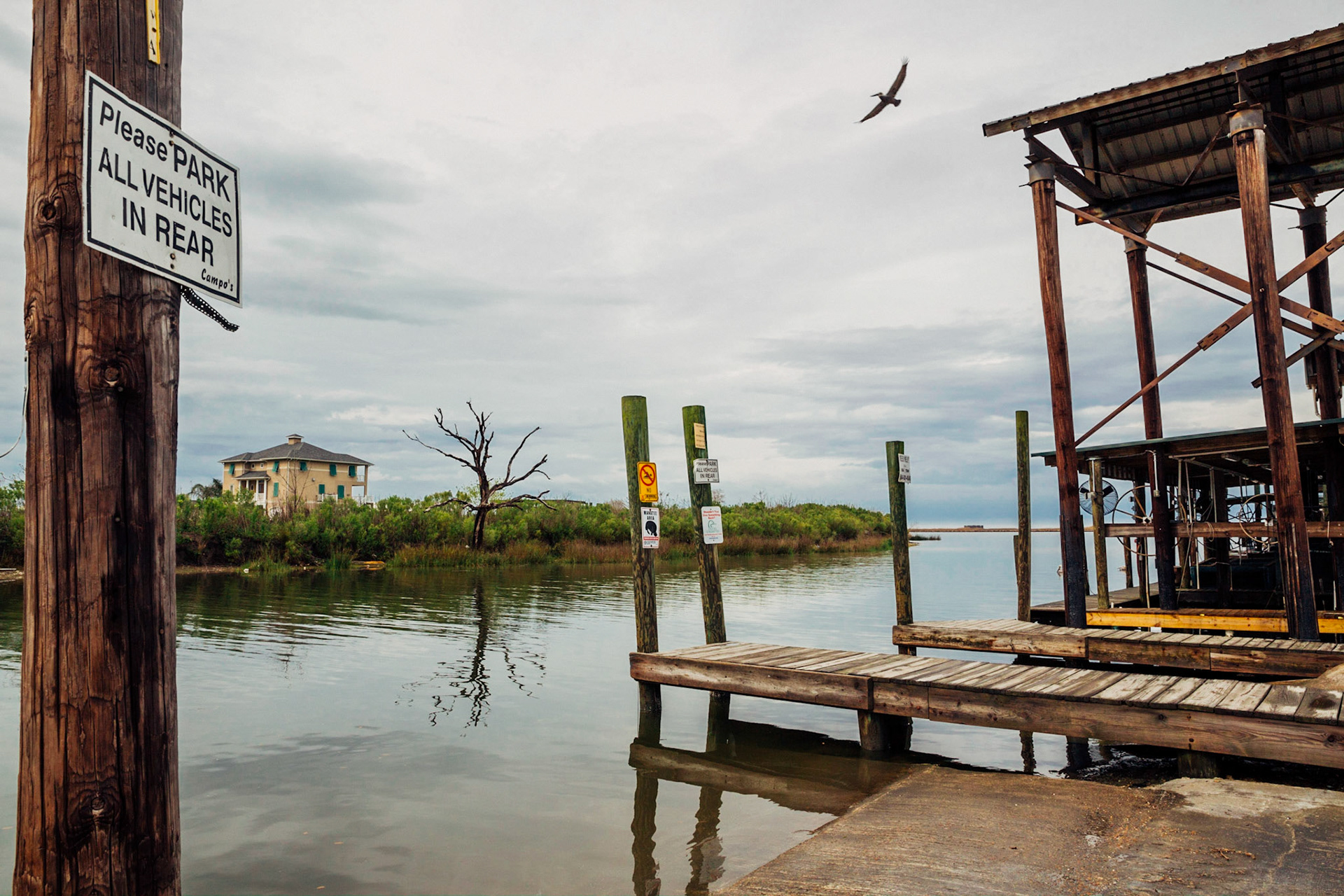 Bayou, Shell Beach, LA, USA, 2015. CISLANDERUS is the cultural project about the Descendants of Canary Islanders in the US. www.cislanderus.com | Researcher: Thenesoya V. Martín |  Photographer: Aníbal Martel.