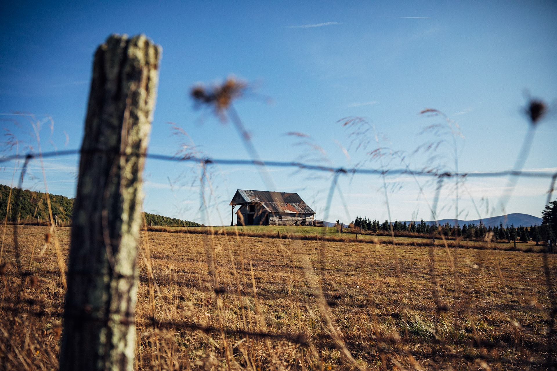 Old barn in Blue Ridge Railway, Massies Mill, Raphine, Nelson County, Virginia, USA, 2019.