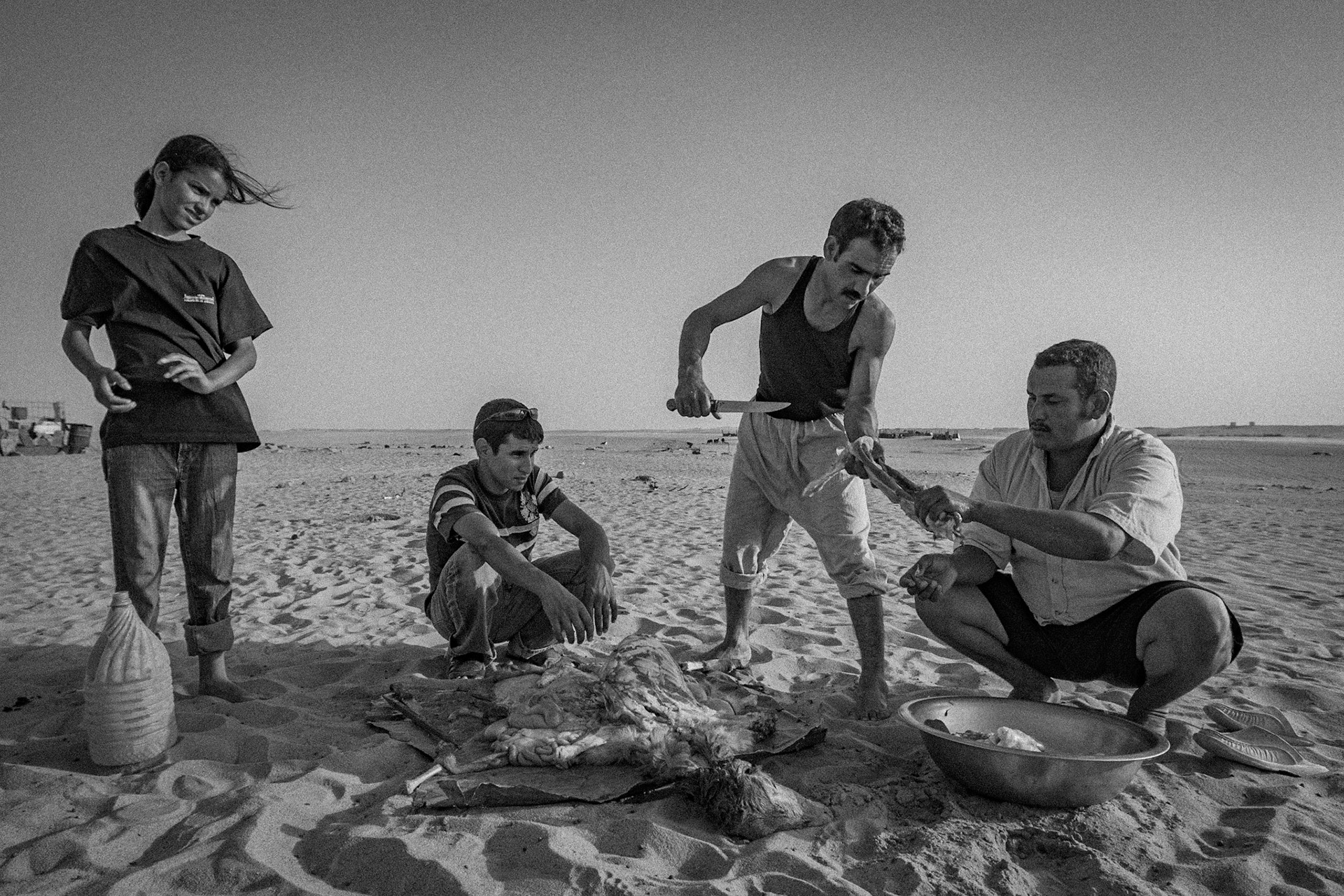 Dakhla refugee camp, Tindouf, Wilaya de Tindouf, Algerian Sahara, 2009: Chopping a sheep.