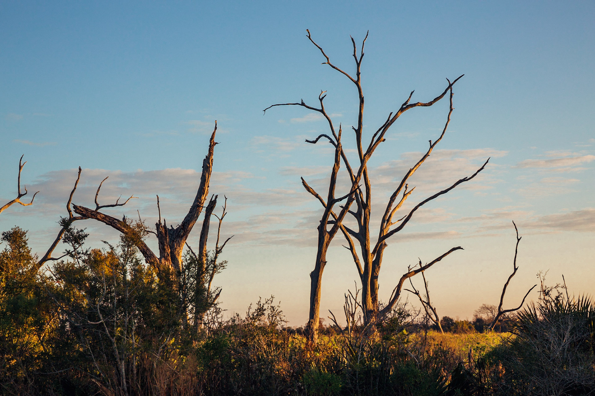 CISLANDERUS is the cultural project about the Descendants of Canary Islanders in the US. www.cislanderus.com | Researcher: Thenesoya V. Martín |  Photographer: Aníbal Martel.