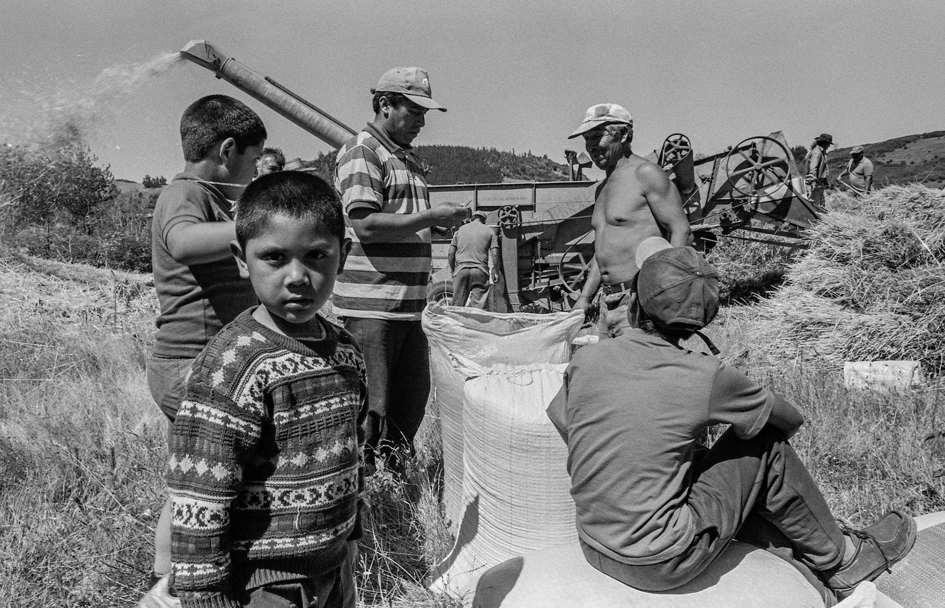 LLUFQUENTUE AREA, IX ARAUCANIA REGION, CHILE - 2014: Family packing wheat.
