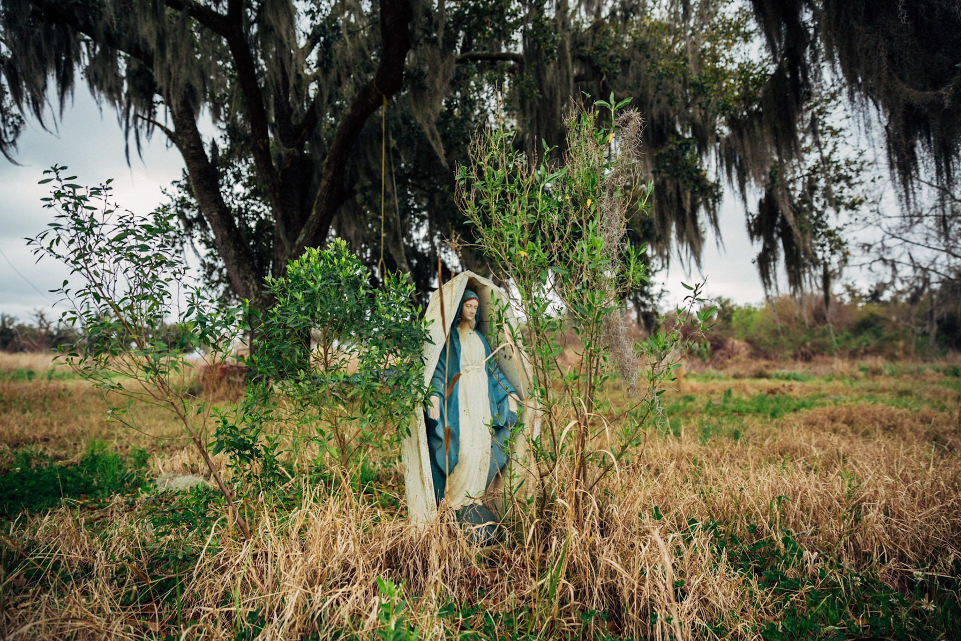 CISLANDERUS is the cultural project about the Descendants of Canary Islanders in the US. www.cislanderus.com | Researcher: Thenesoya V. Martín |  Photographer: Aníbal Martel.