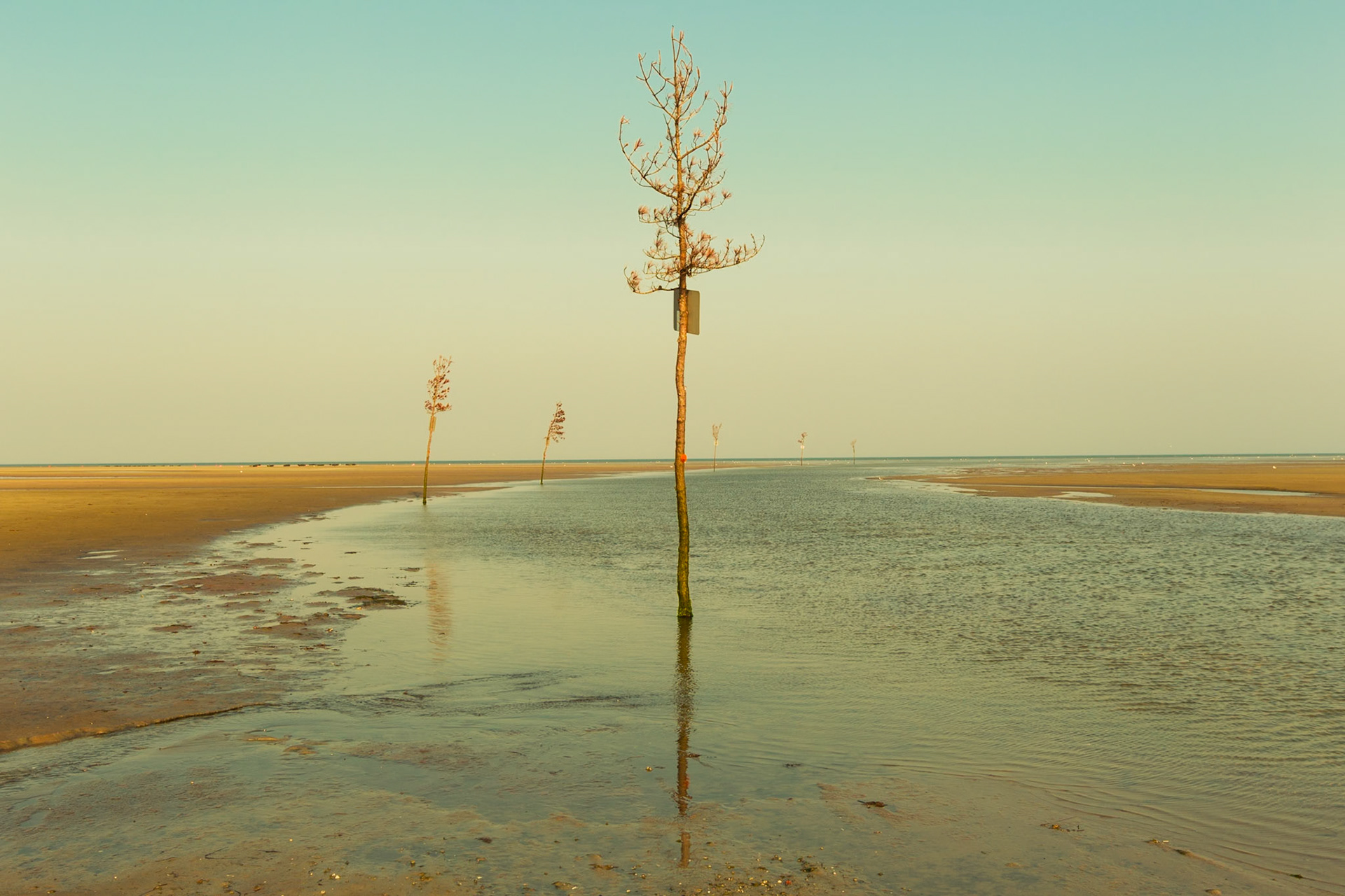 Low Tide, Sandwich, Cape Cod, Massachusetts, USA, 2011.