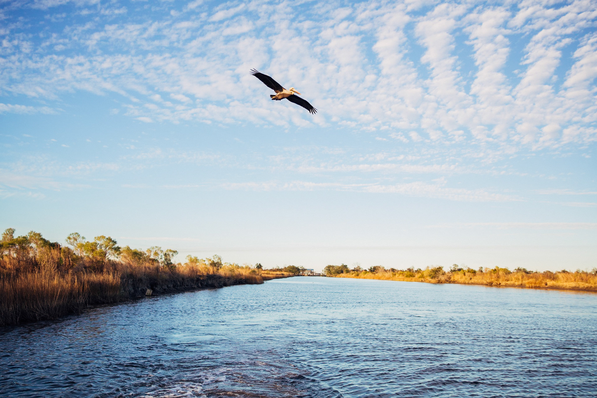CISLANDERUS Project: The cultural project about the Descendants of Canary Islanders in the US. www.cislanderus.com | Researcher: Thenesoya V. Martín |  Photographer: Aníbal Martel.