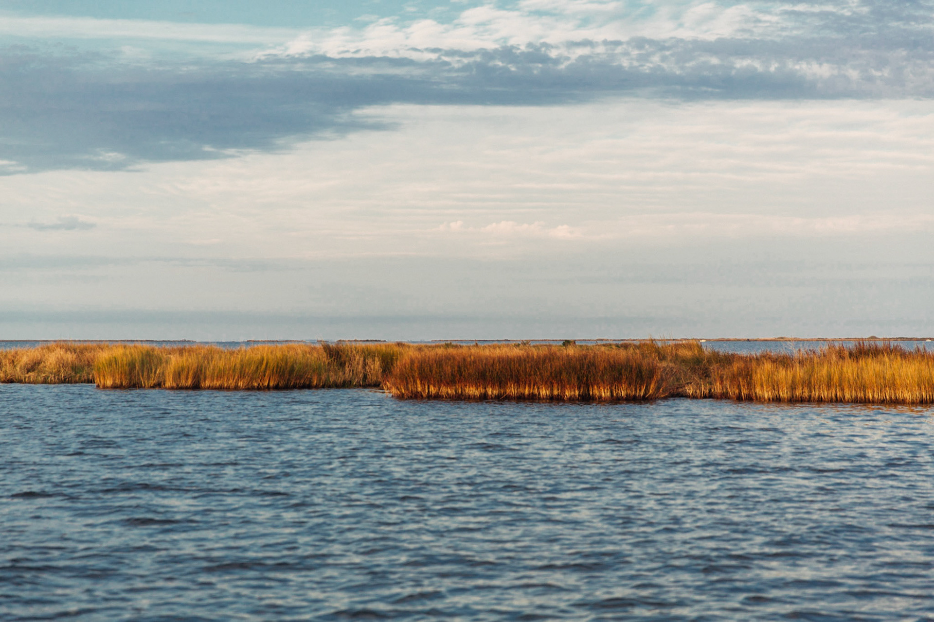 Swamp in Delacroix, Louisiana, USA, 2014.  CISLANDERUS is the cultural project about the Descendants of Canary Islanders in the US. www.cislanderus.com | Researcher: Thenesoya V. Martín |  Photographer: Aníbal Martel.