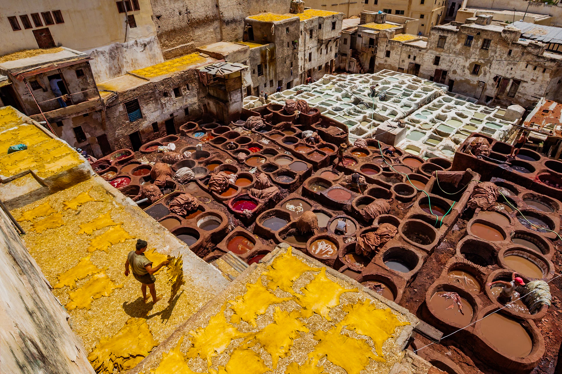 Tanners and leather dyers in Fez, Morocco, North Africa, Africa, 2007.
