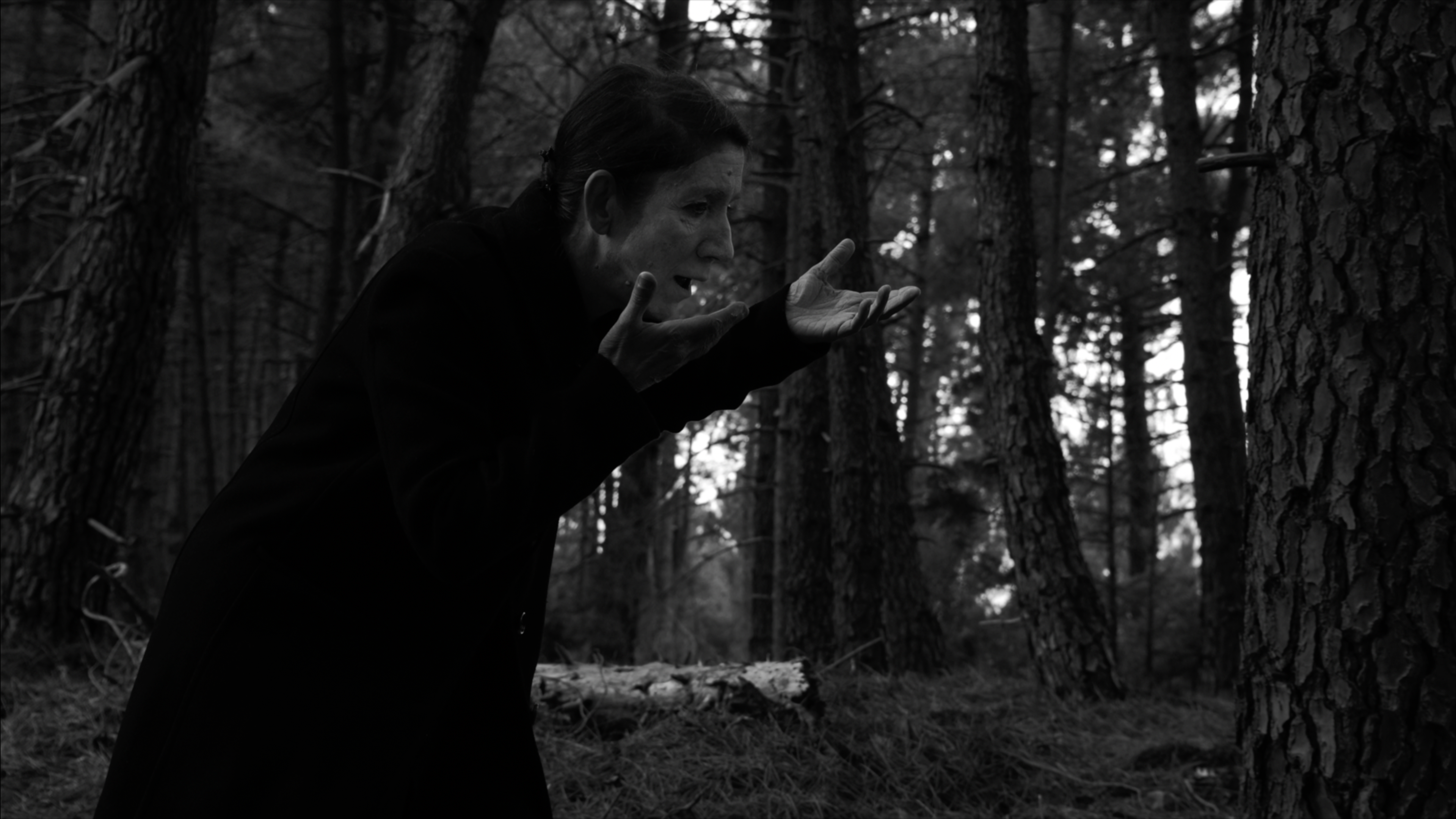 Still from the short film Winter Breeze | 2023