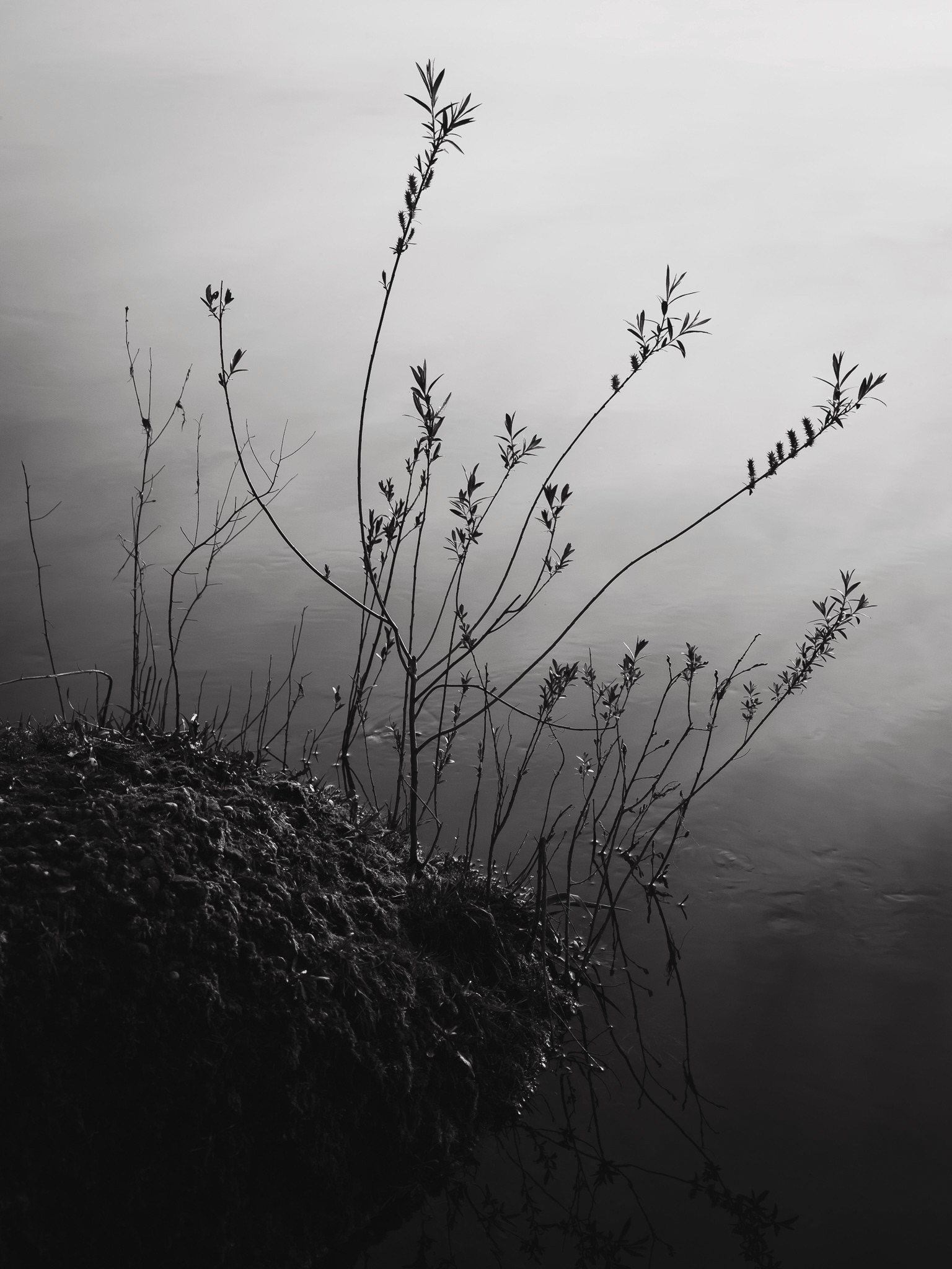 tranquility | 2022
