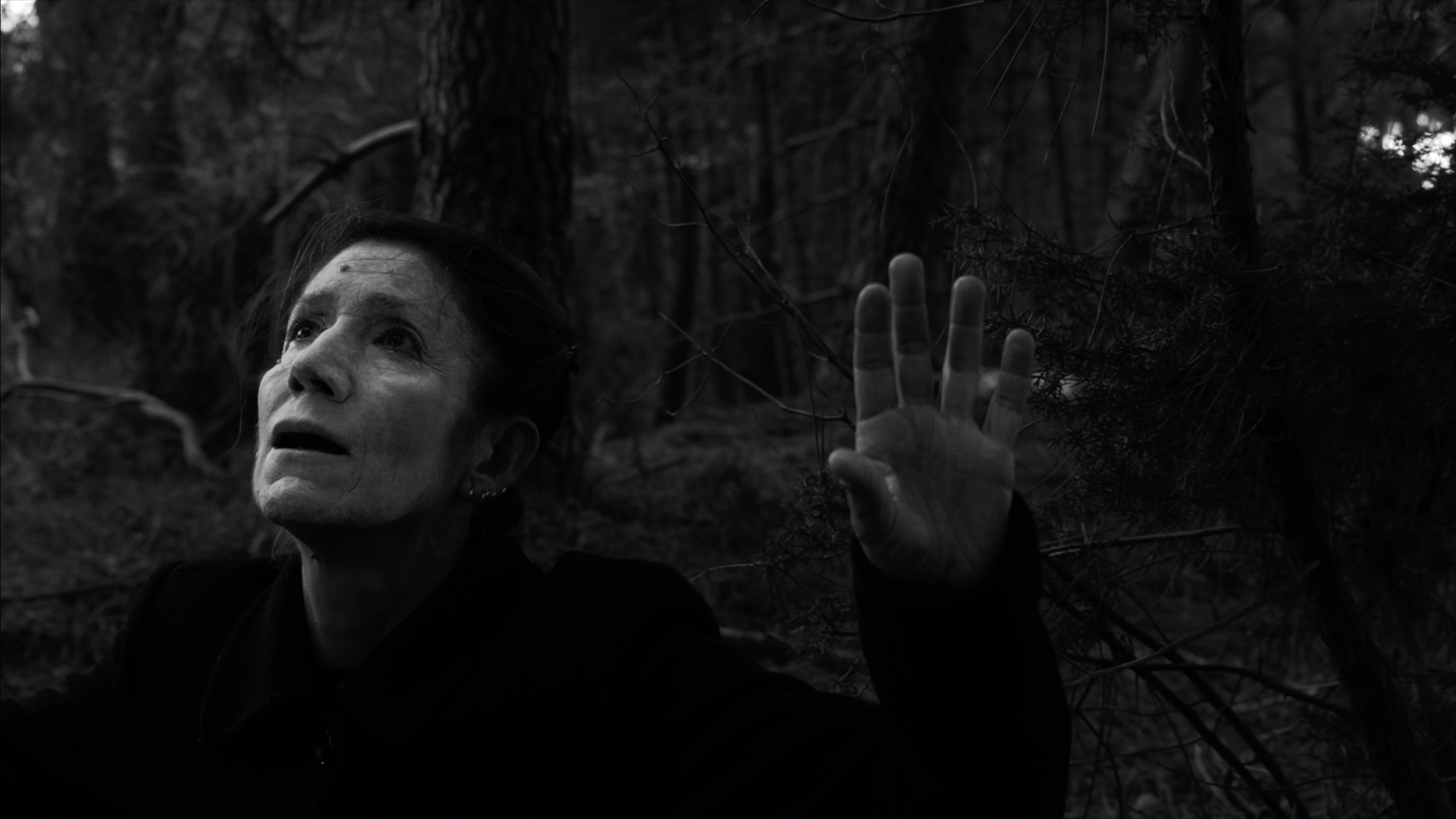 Still from the short film Winter Breeze | 2023