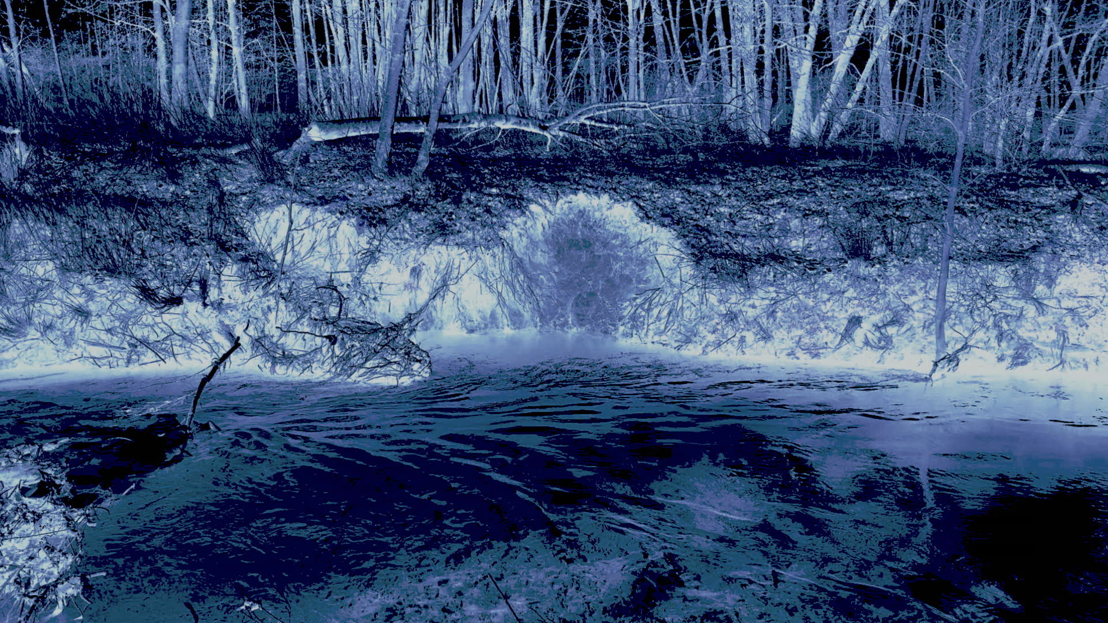 Still from the short film Light of Go(l)d | 2020