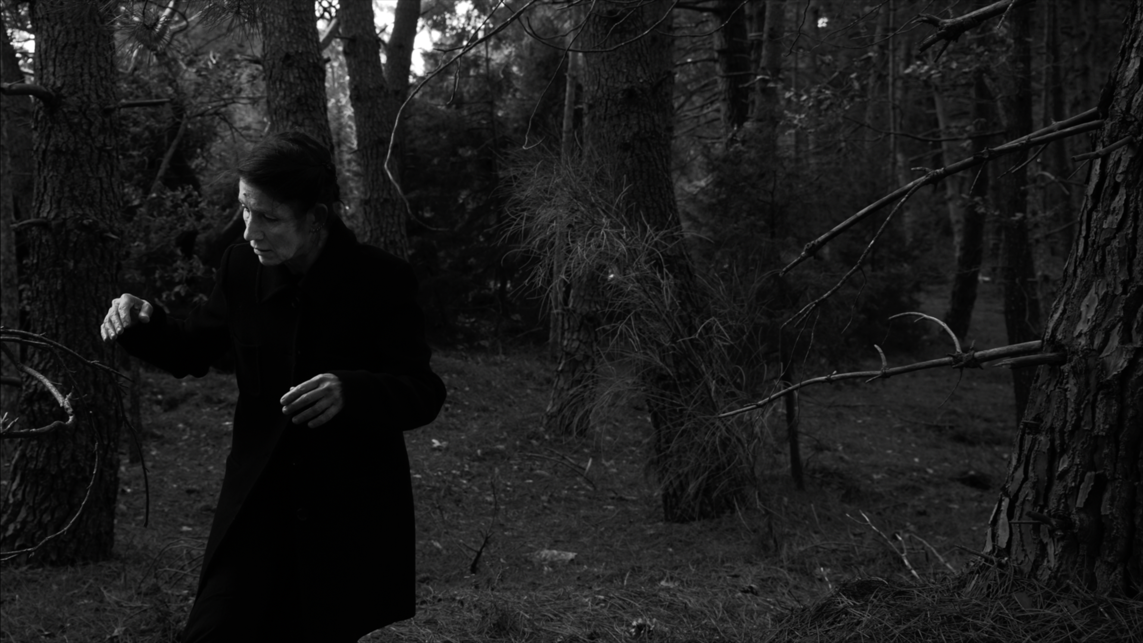 Still from the short film Winter Breeze | 2023