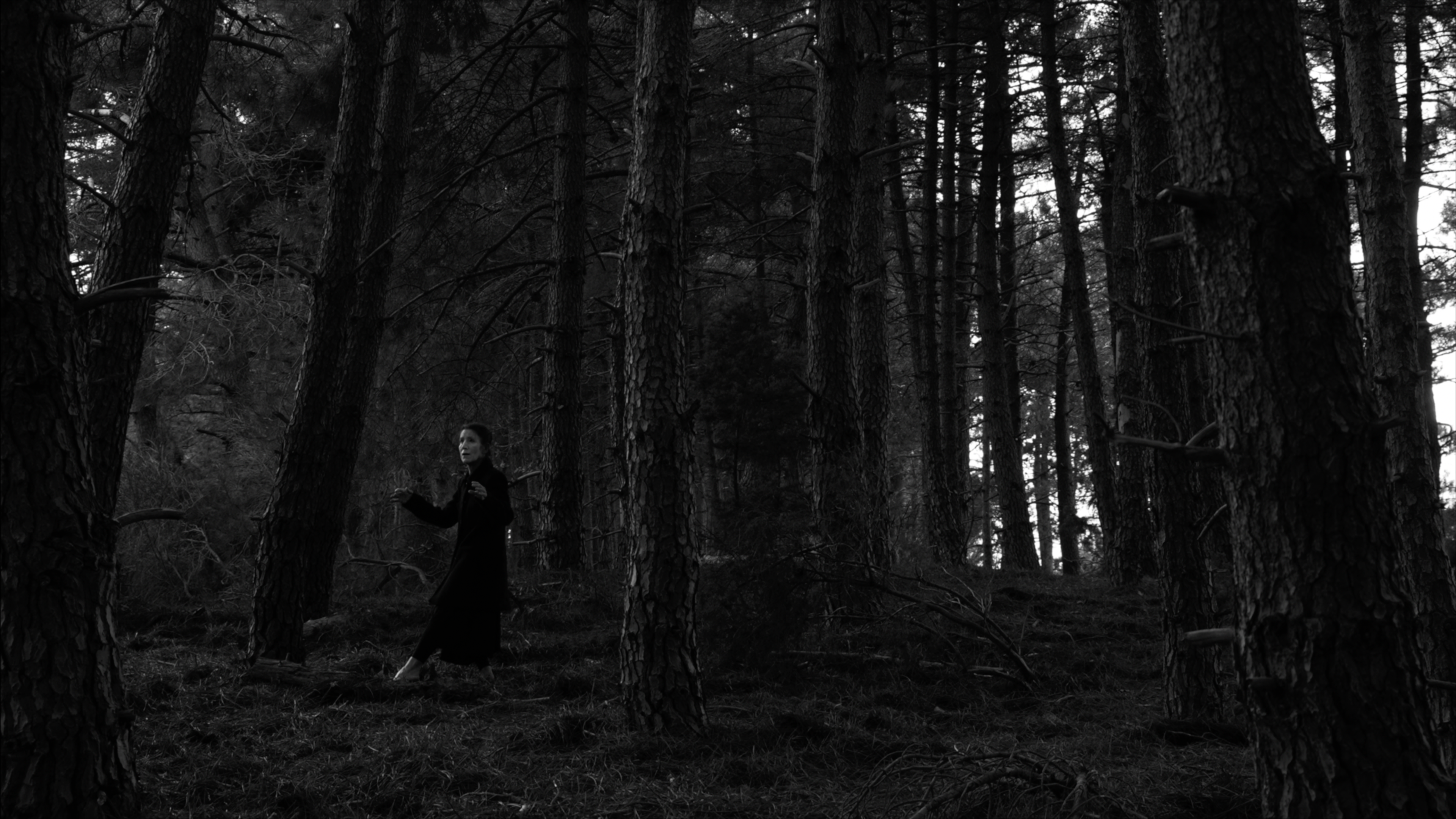 Still from the short film Winter Breeze | 2023