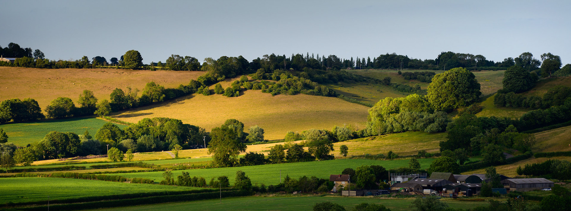 DAPPLED HILLSIDE
