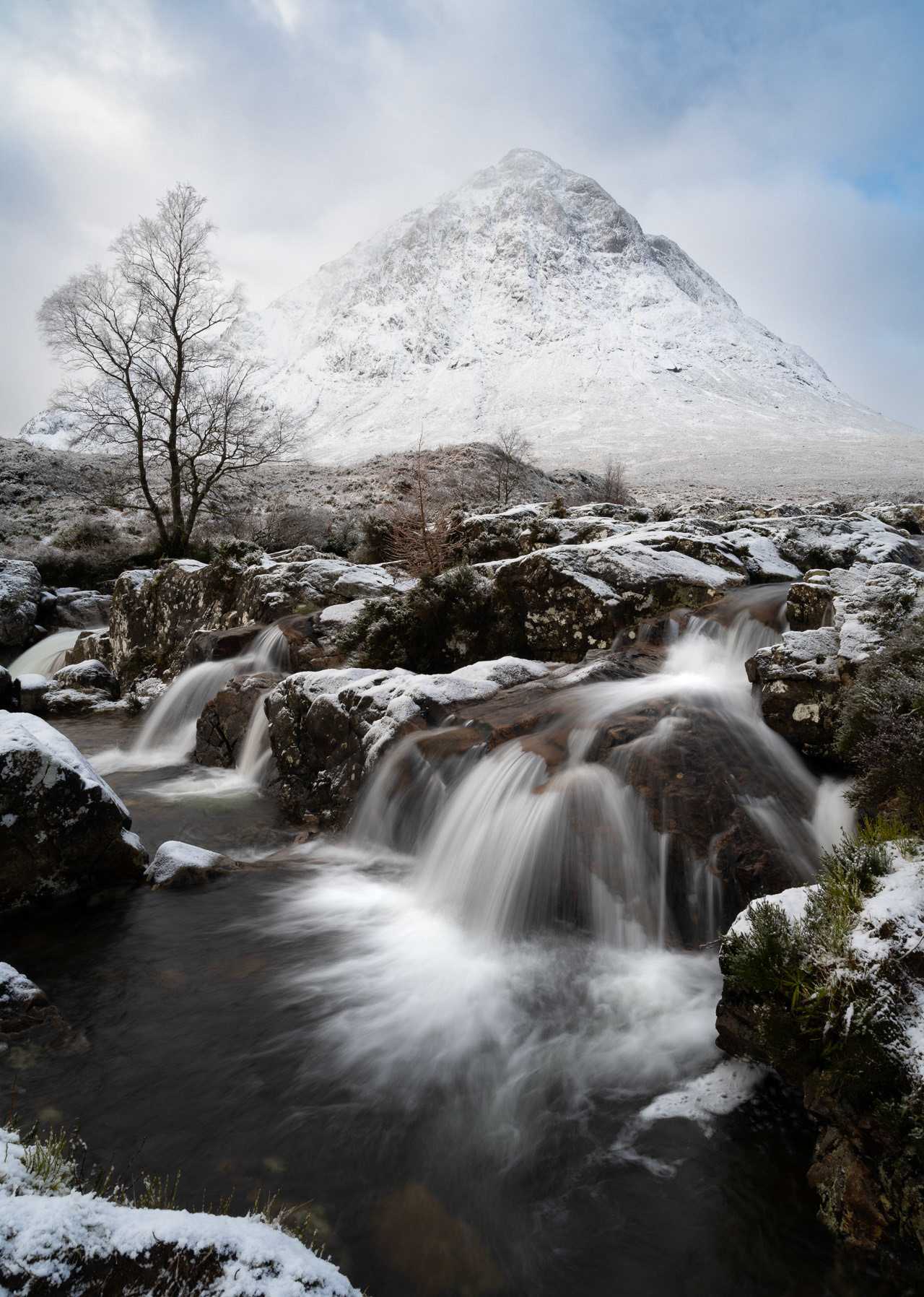 BUACHAILLE ETIVE MOR IN WHITE