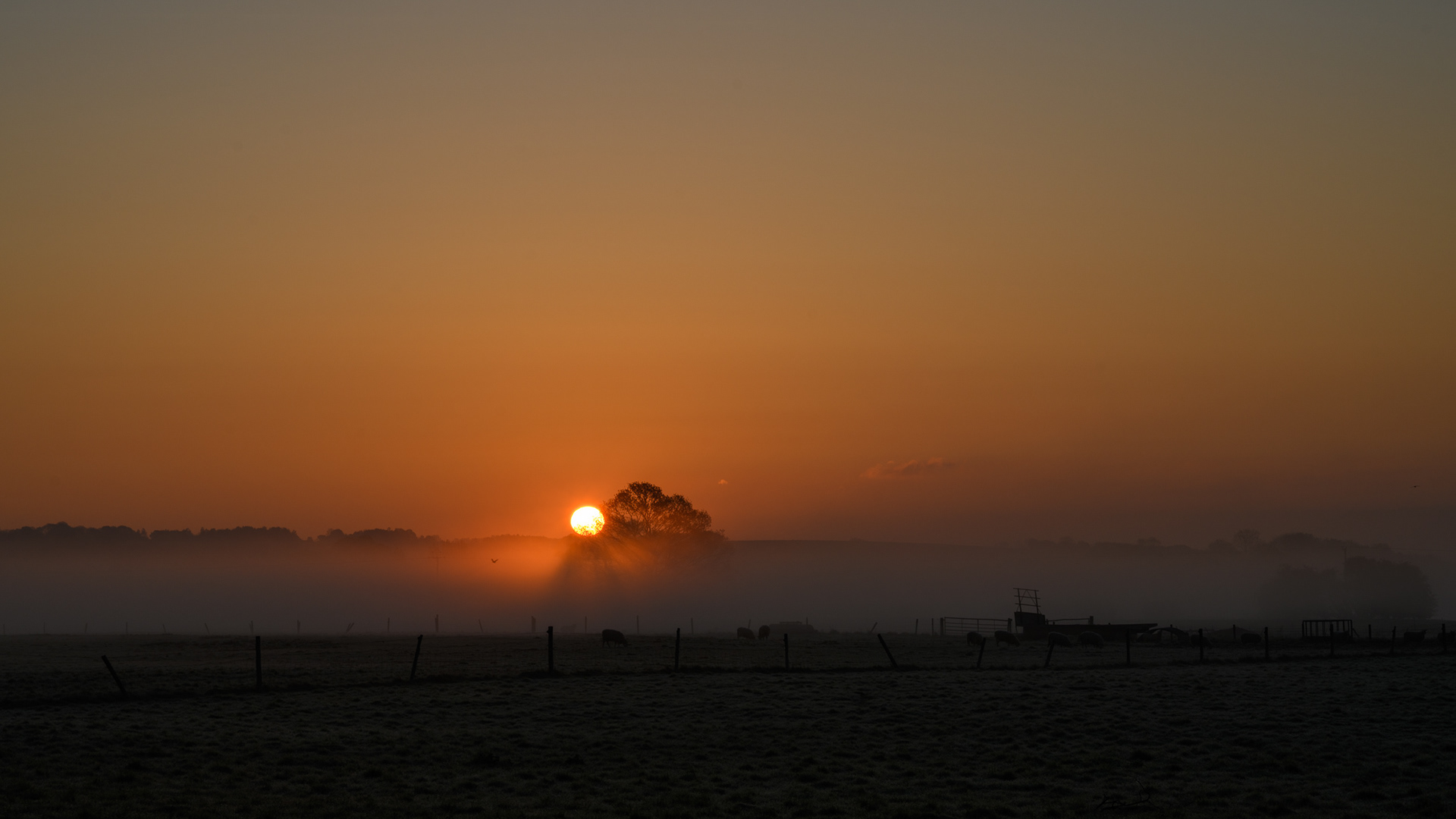 SUNRISE ON THE COUNRYSIDE