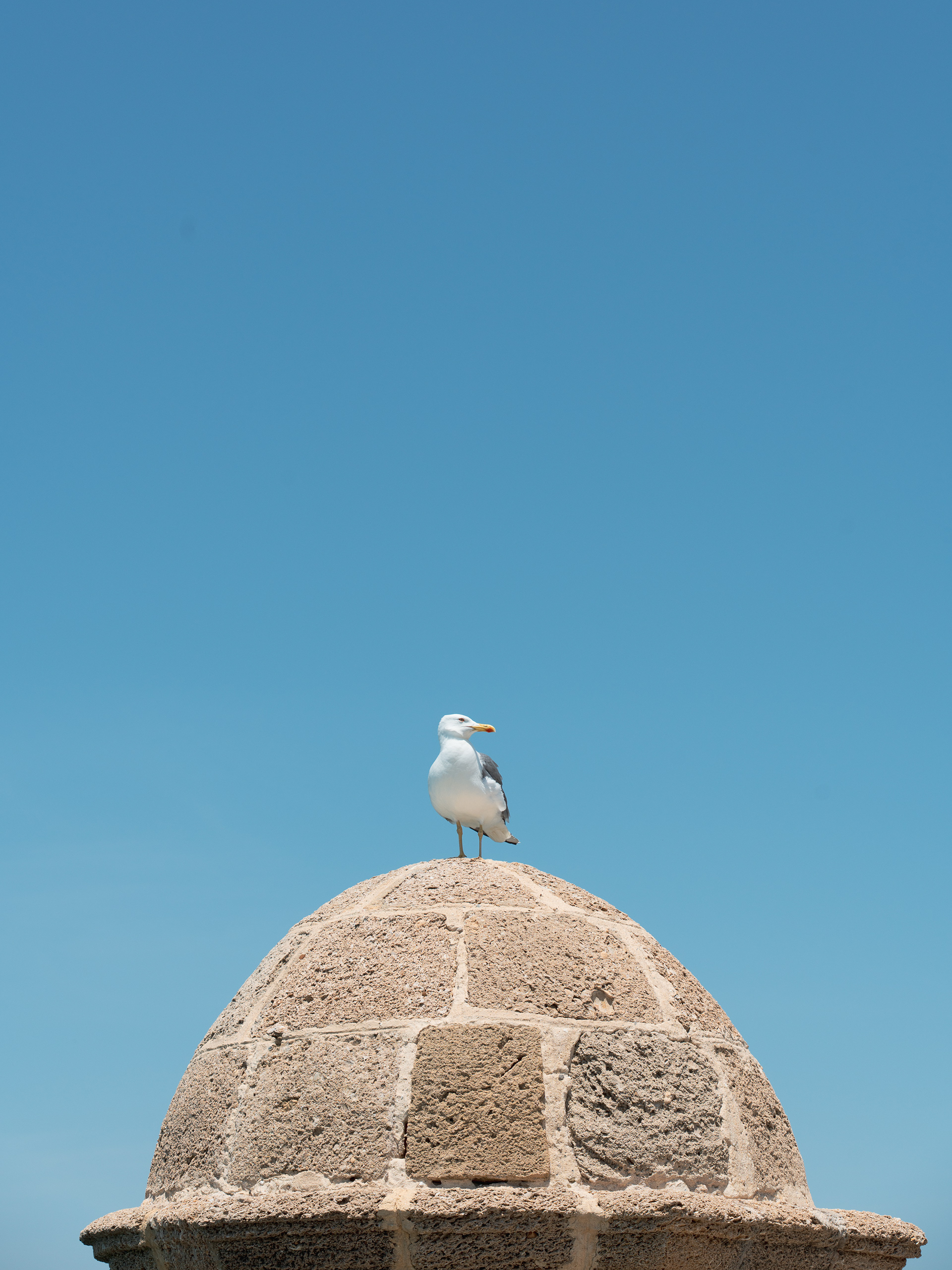 SENTINEL