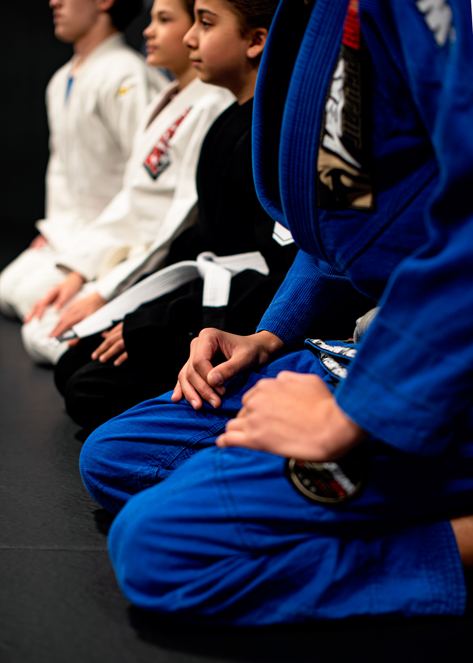 Icon Bjj