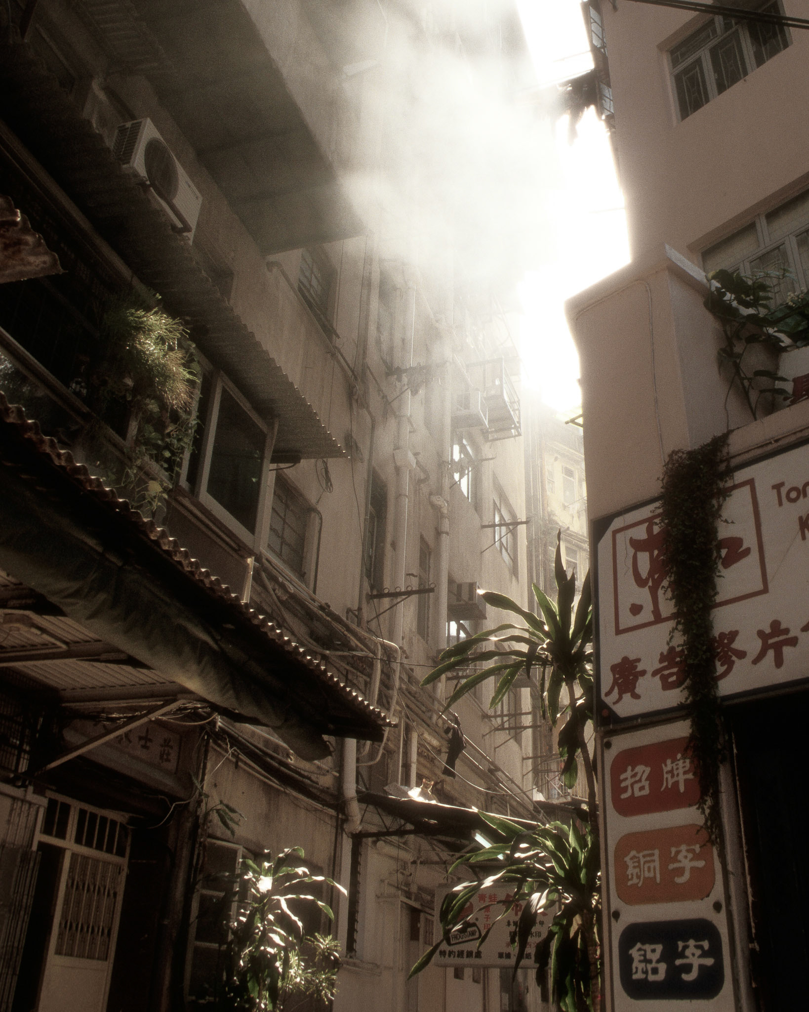Hong Kong
