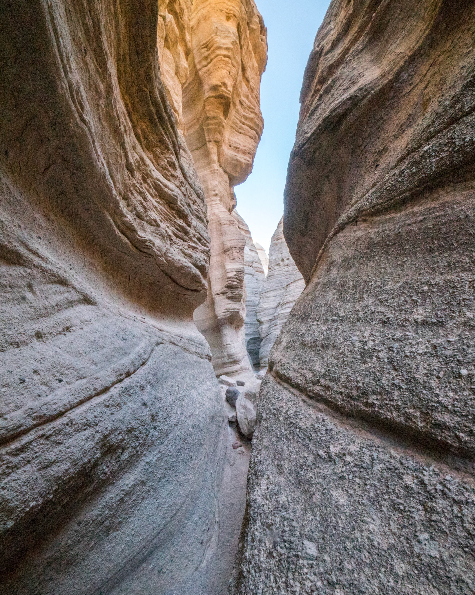New Mexico