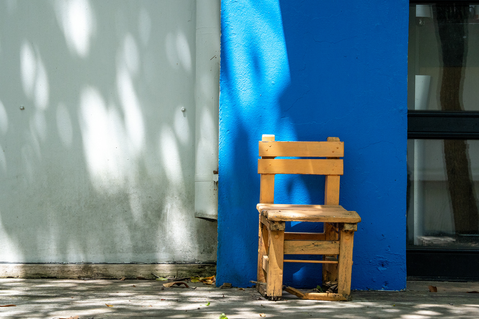 Yellow Chair. One chair against a wall of blue, dappled by leaf-light. Jeju, South Korea, 2026