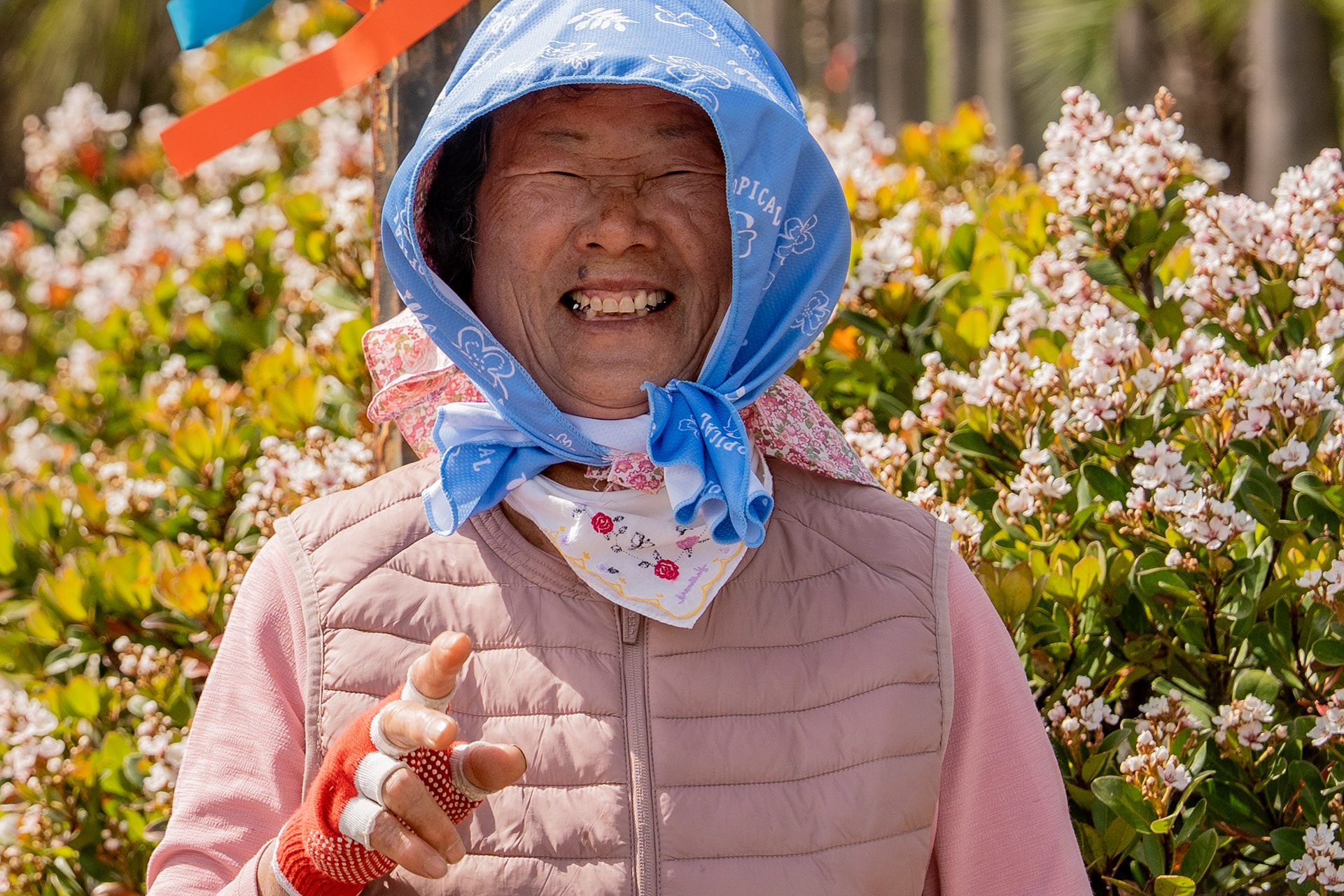 Laughing in the Blossom. An islander caught mid-laugh among spring blossom. Jeju, South Korea, 2026.
