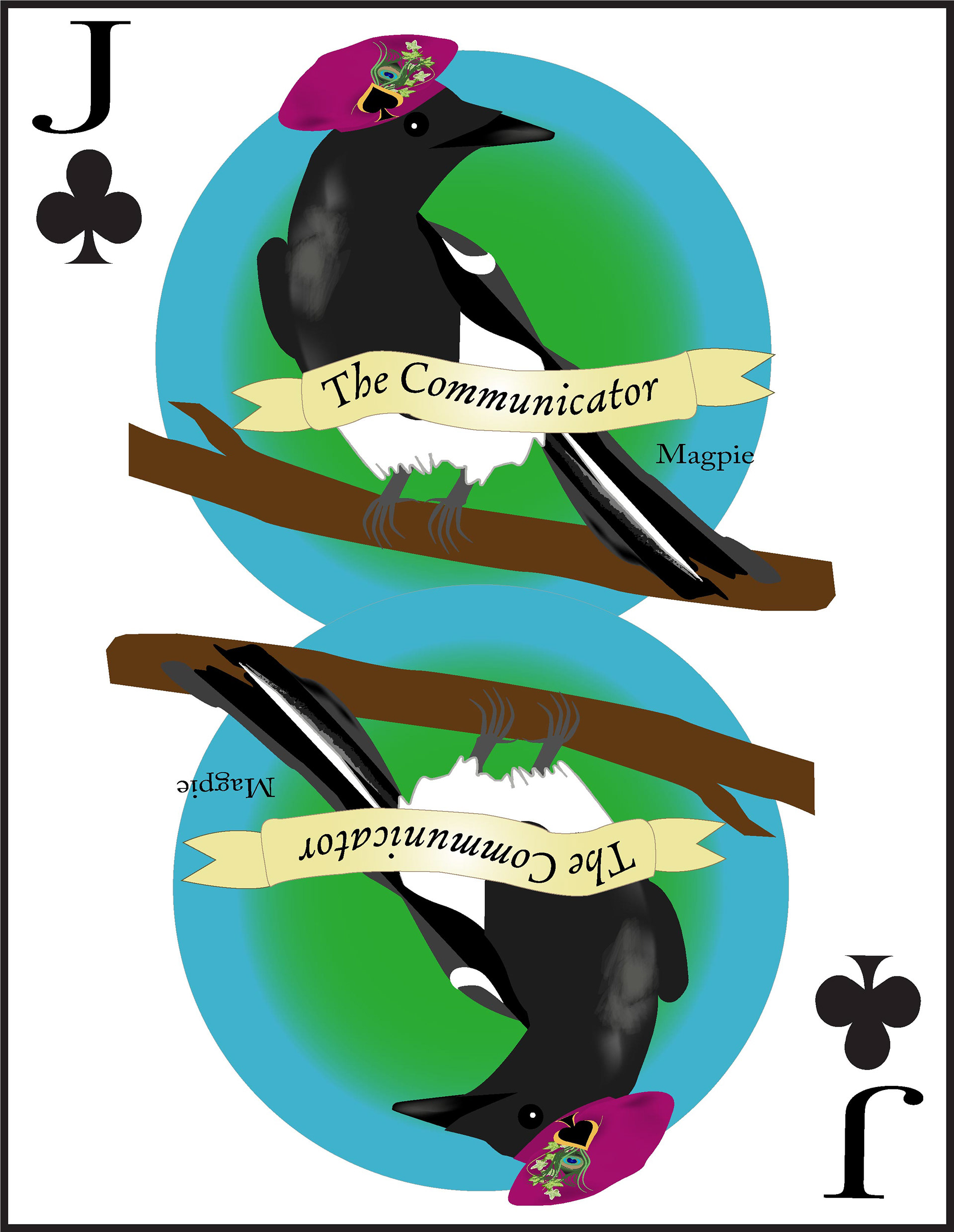 The Jack of Clubs is a Magpie.