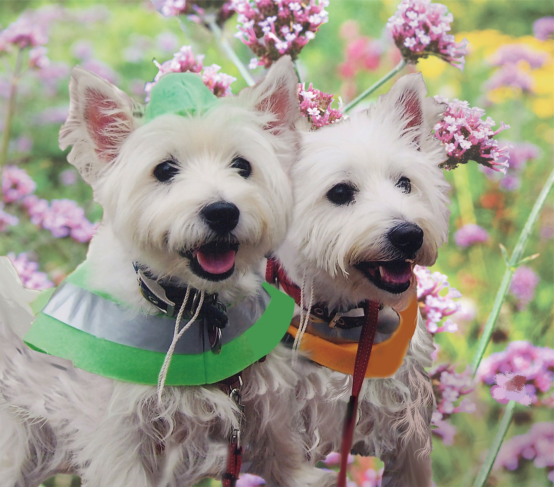 I created this composite of dogs and a floral background for my sister, who needed her image to be removed from the photograph.