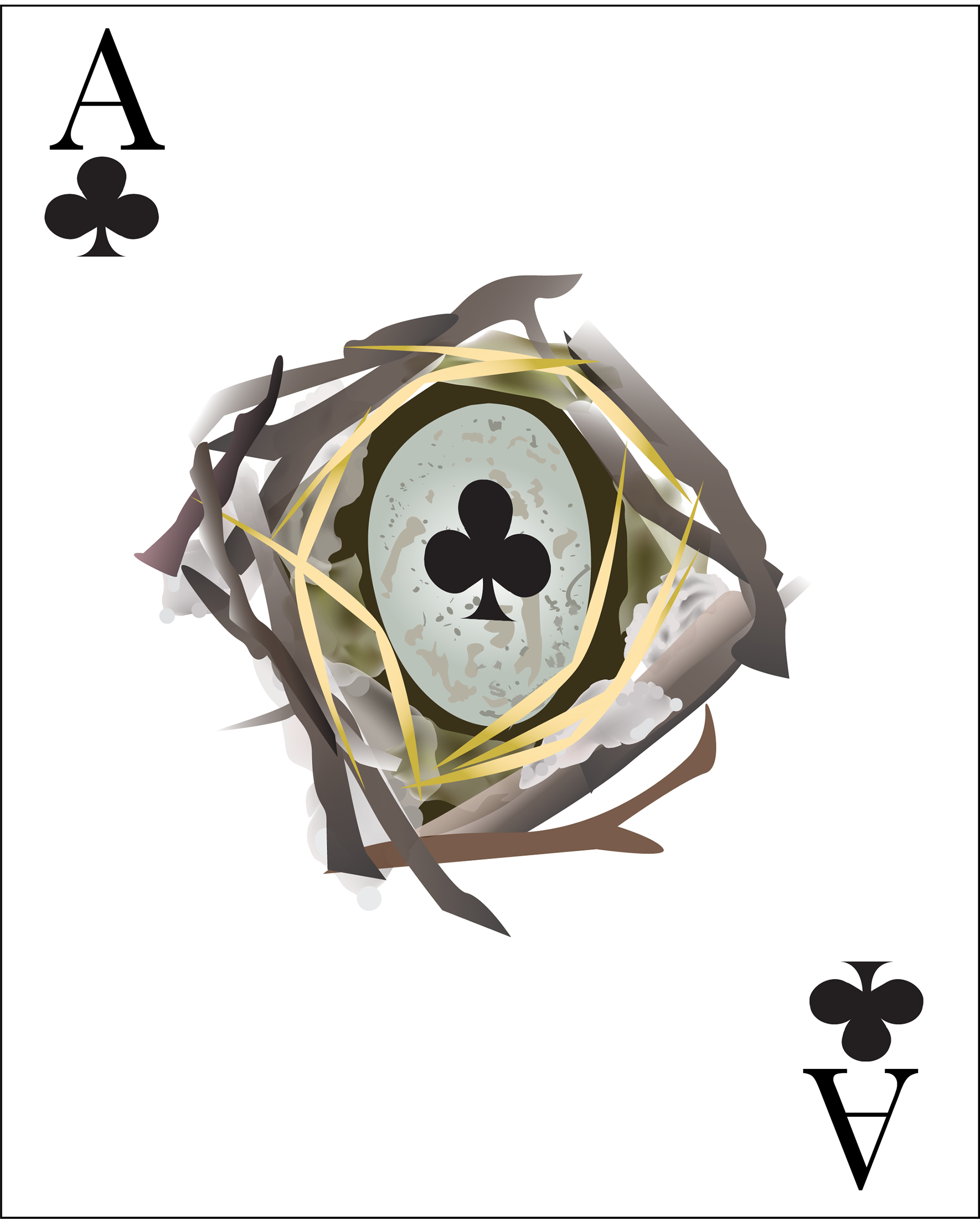 The Ace of Clubs is a Raven's Egg in a nest.