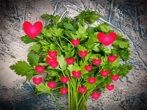 I adorned this bunch of cilantro with illustrated hearts for the poem, "Cilantro," which talks about someone's love for the herb.