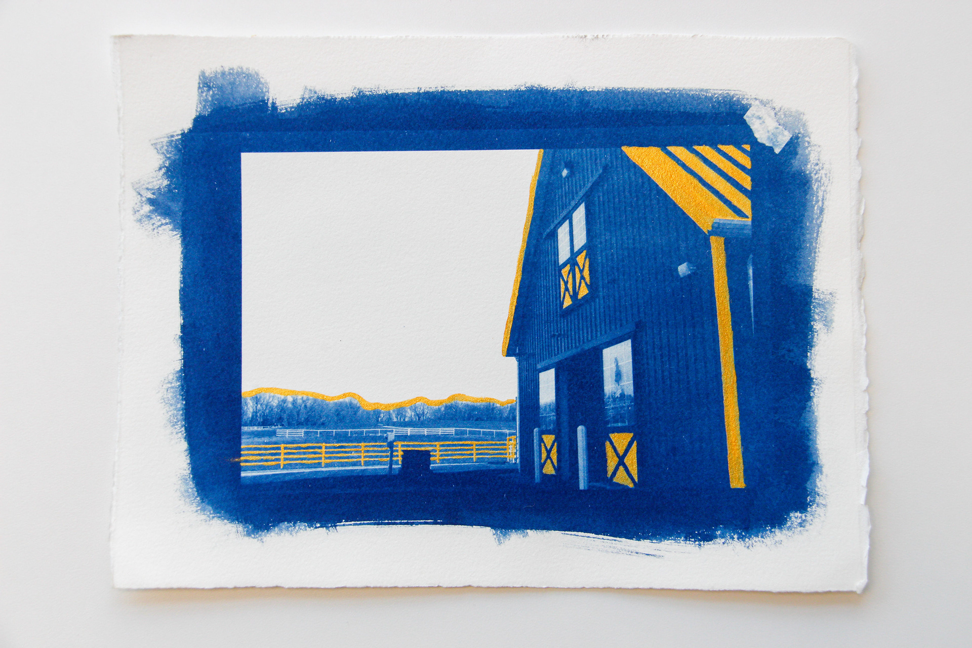 cyanotype and acrylic gold paint