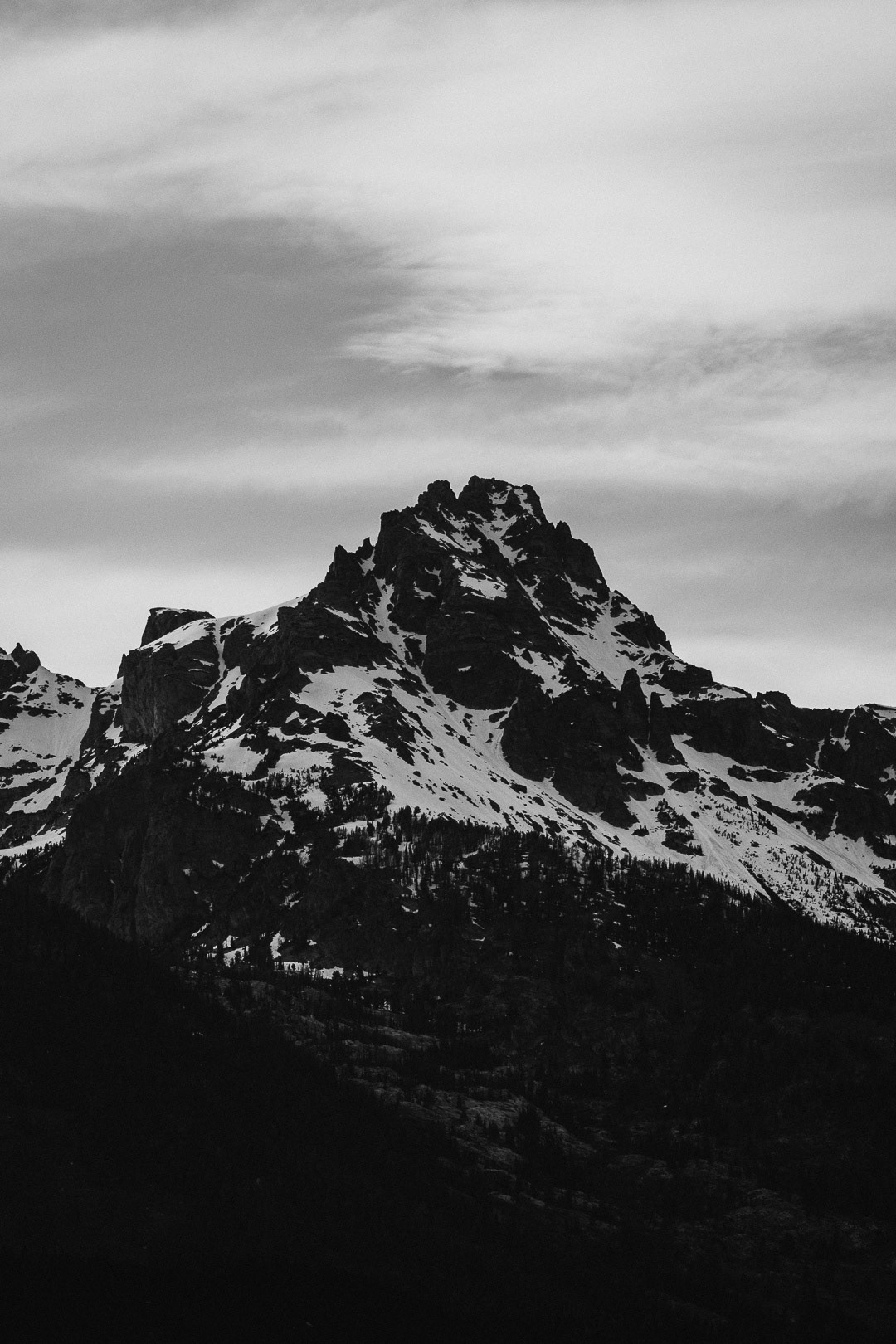 Jason Tarwater ©2025