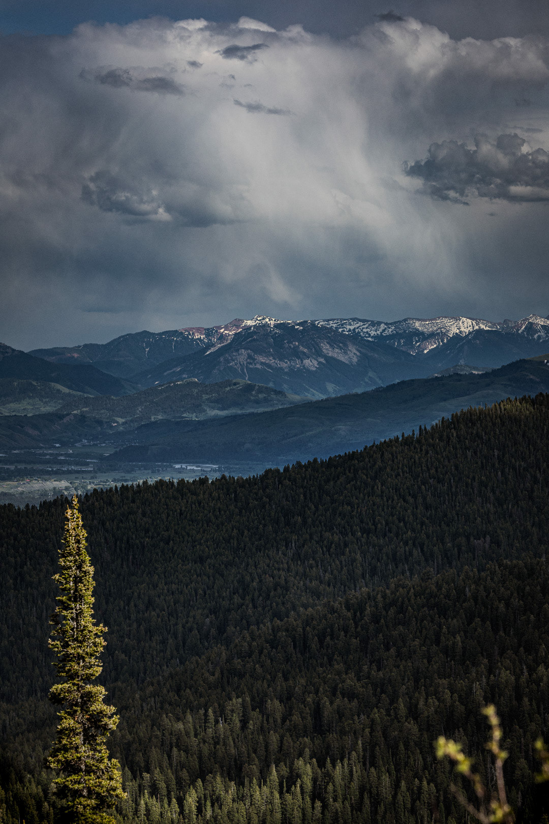 Jason Tarwater ©2025