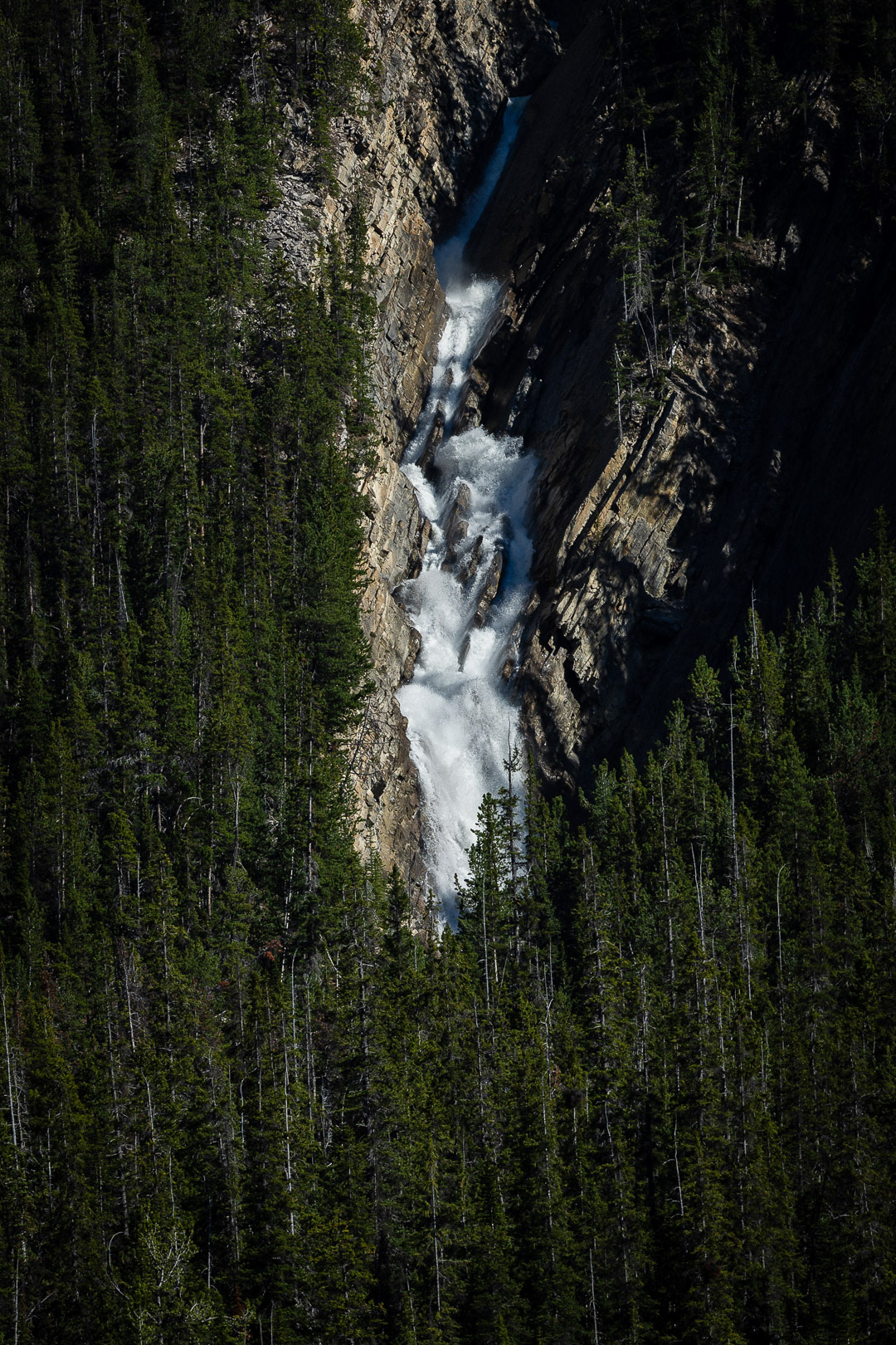 Jason Tarwater ©2025