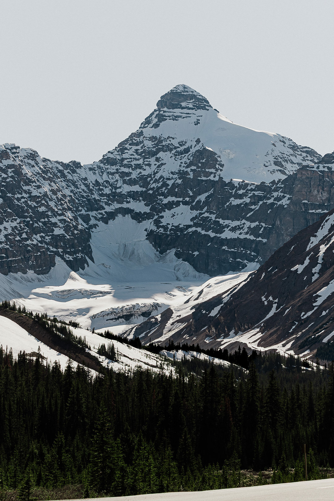 Jason Tarwater ©2025