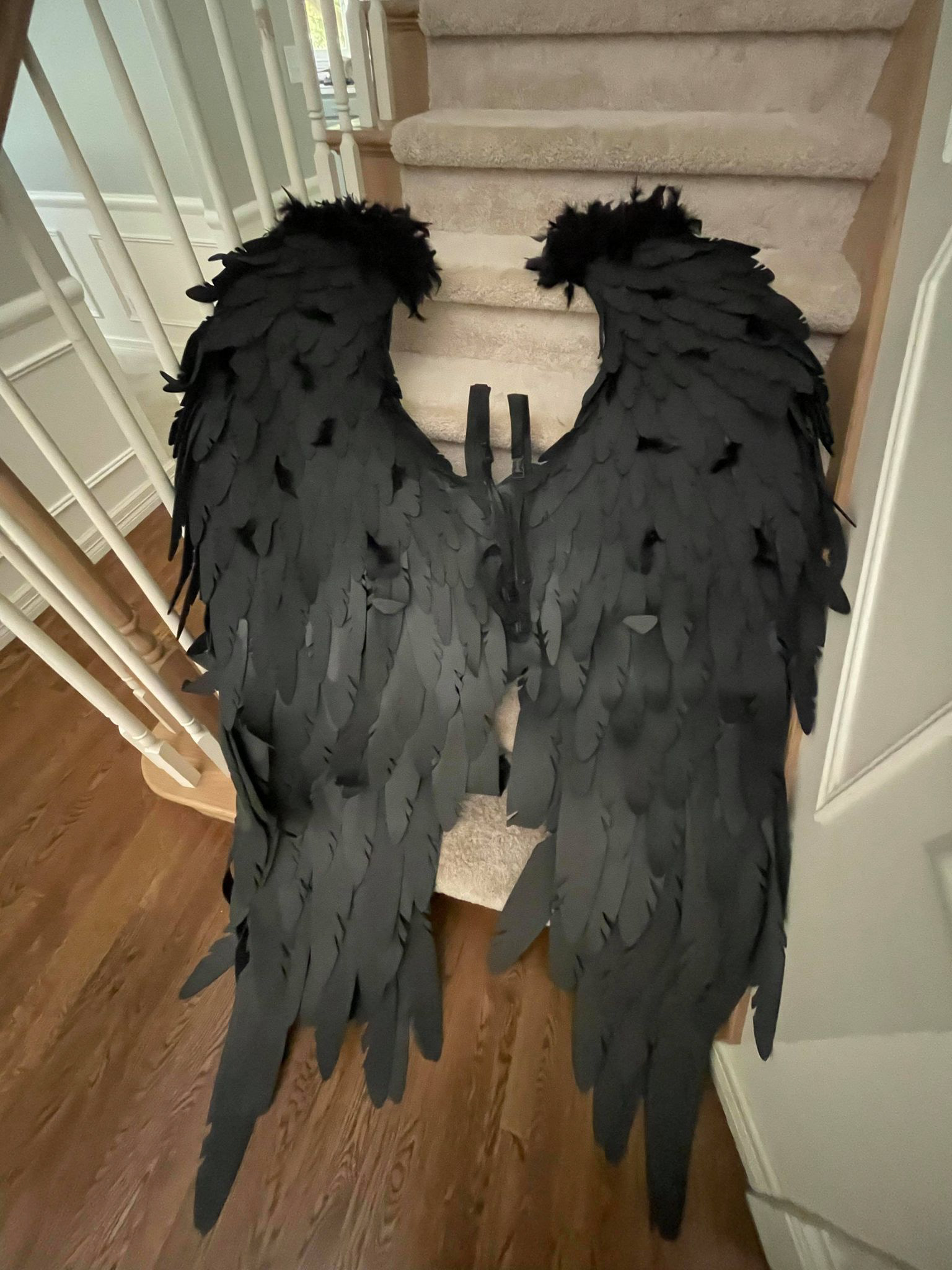 Black Wings