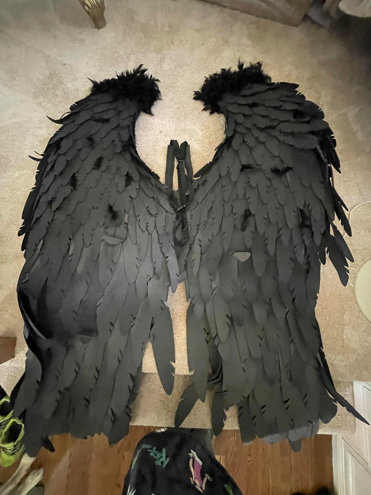 Black Wings