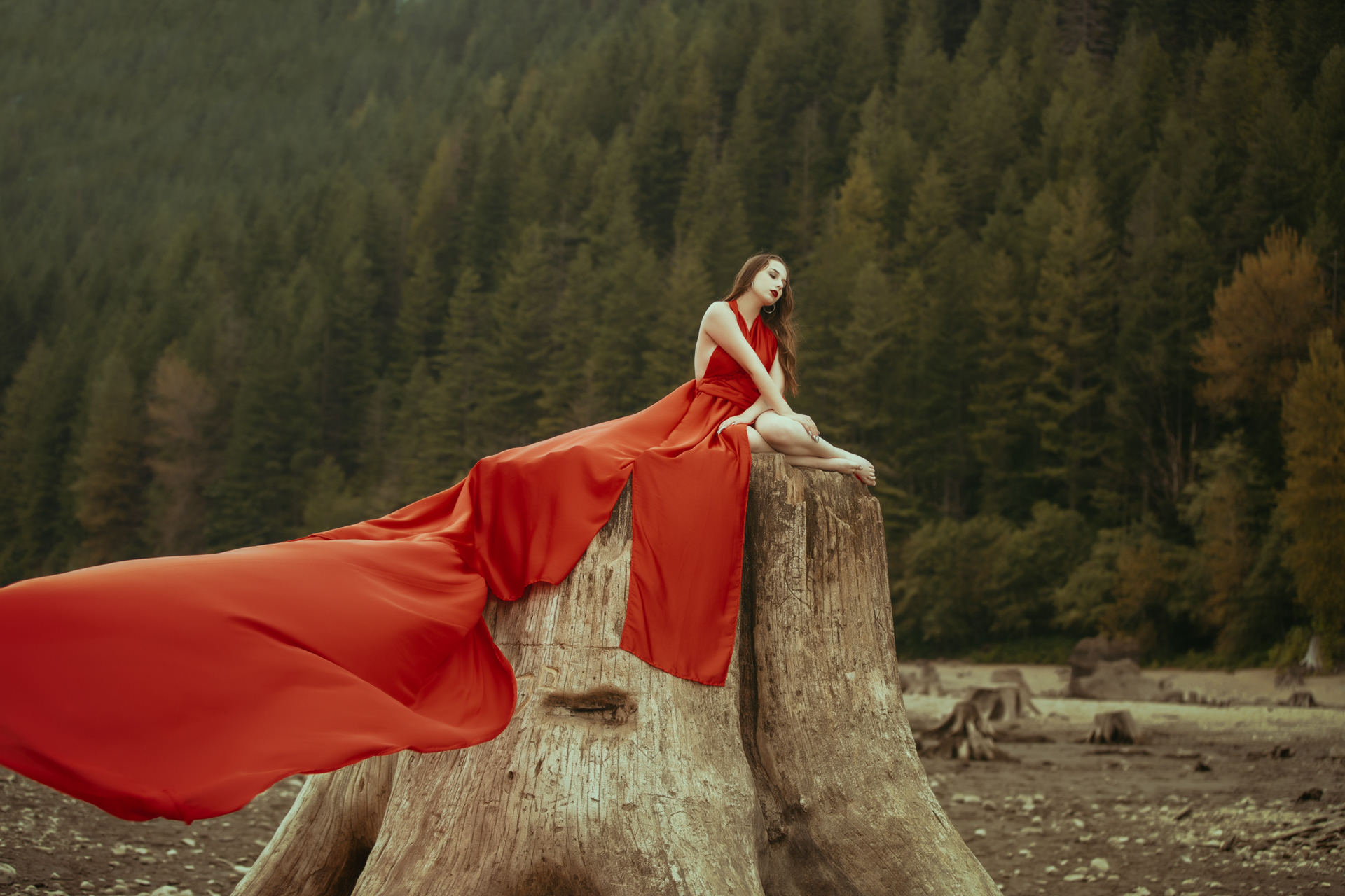 Long Red Dress