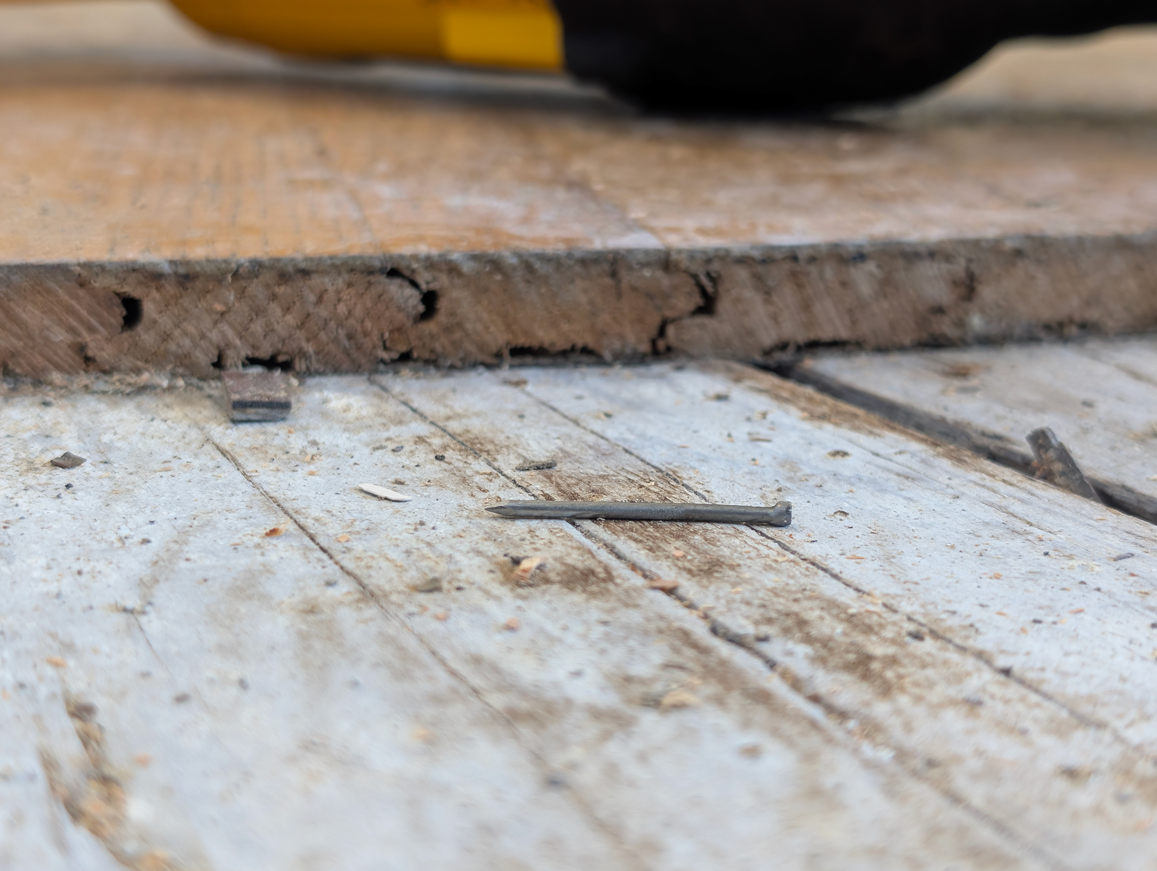 Original 1-1/2" hardwood floor